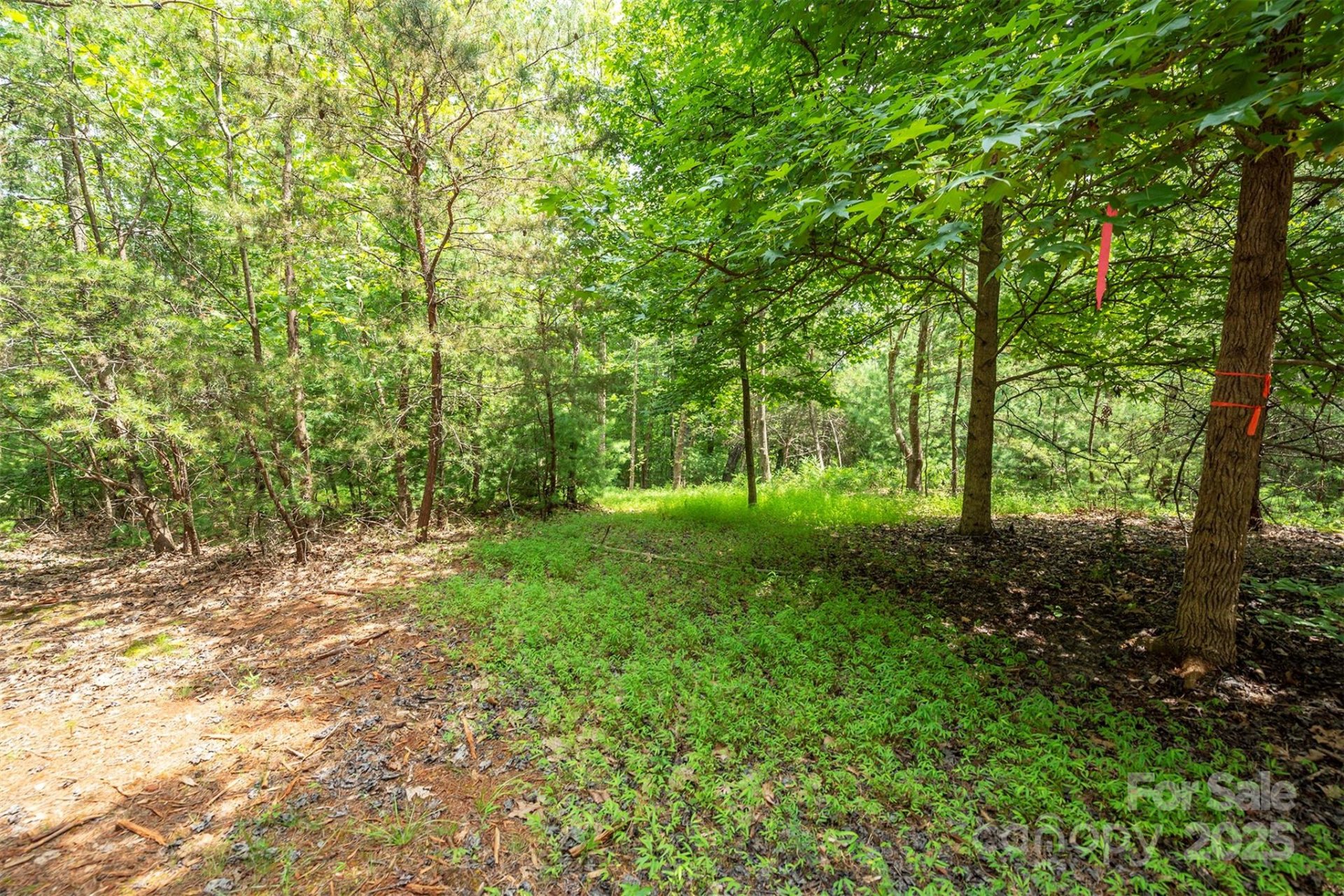 Property image 2 at Lot 46 Black Forest Drive, Marion, NC 28752