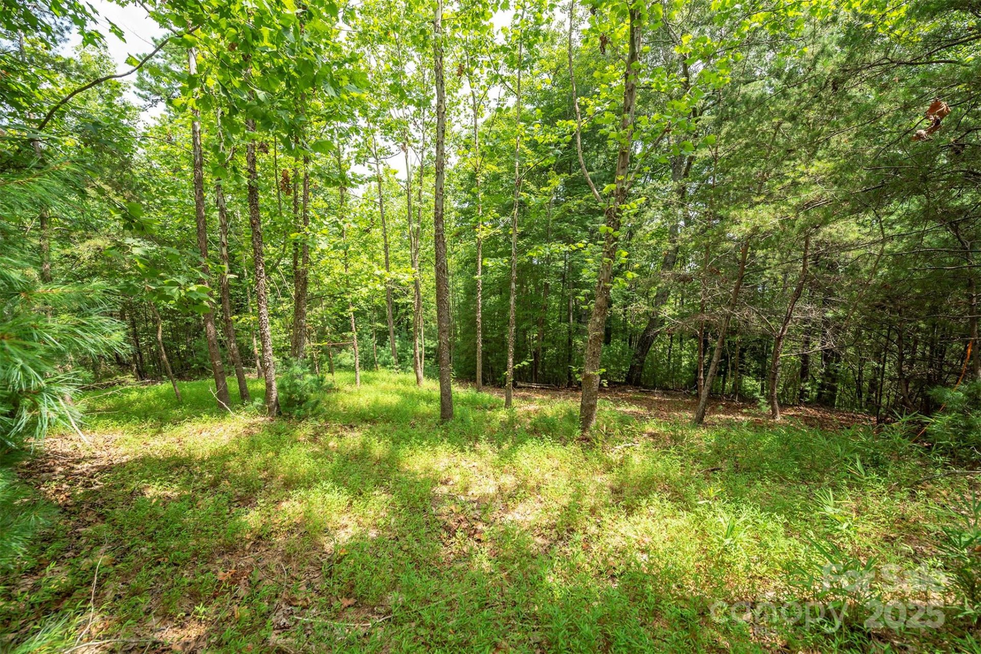 Property image 3 at Lot 46 Black Forest Drive, Marion, NC 28752