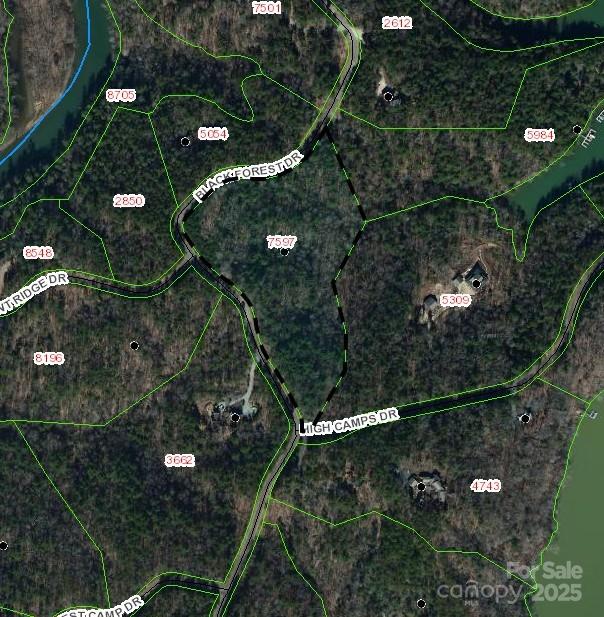 Property image 5 at Lot 46 Black Forest Drive, Marion, NC 28752