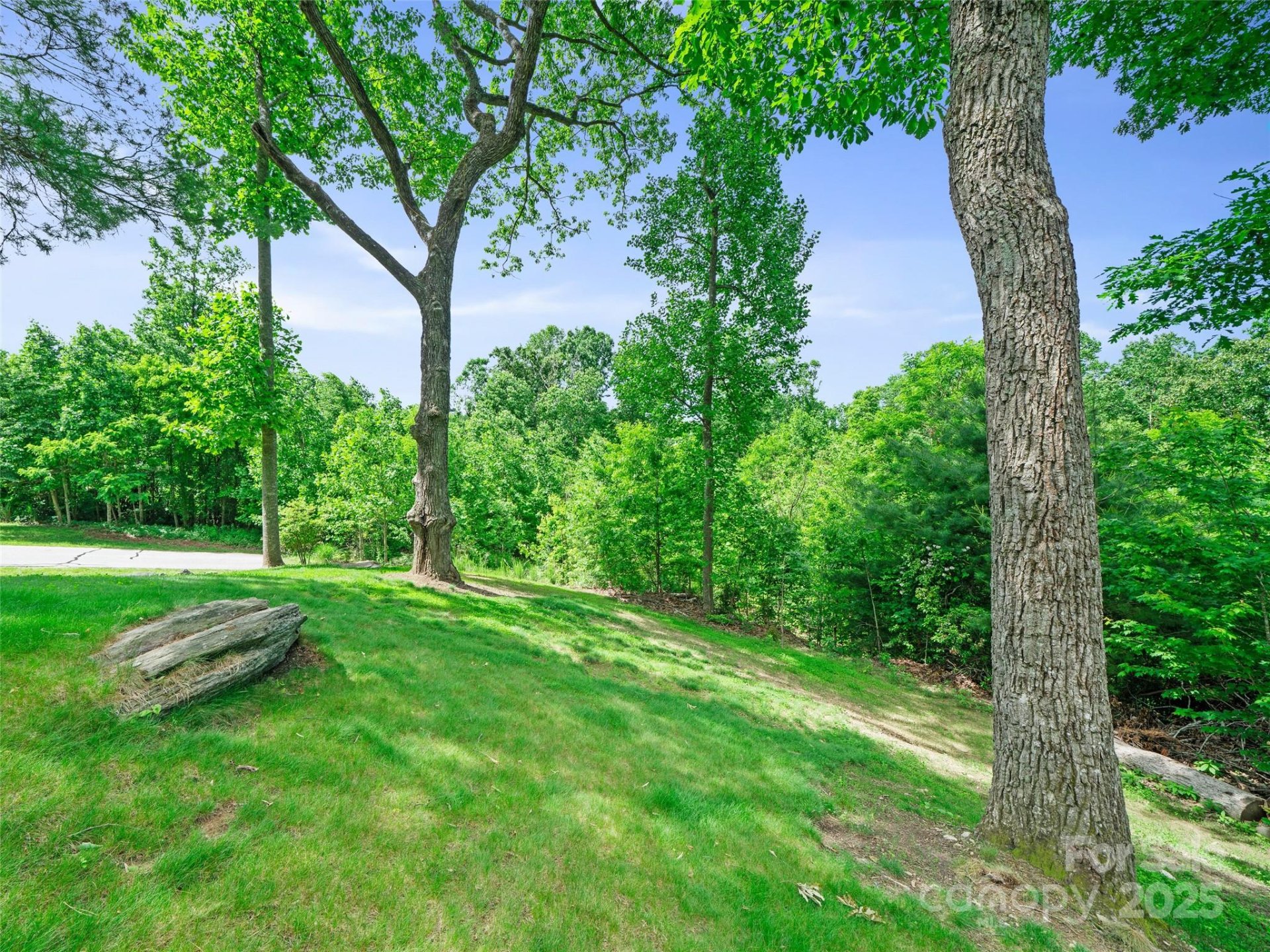 Property image 5 at 99999 Millbrae Loop, Hendersonville, NC 28791