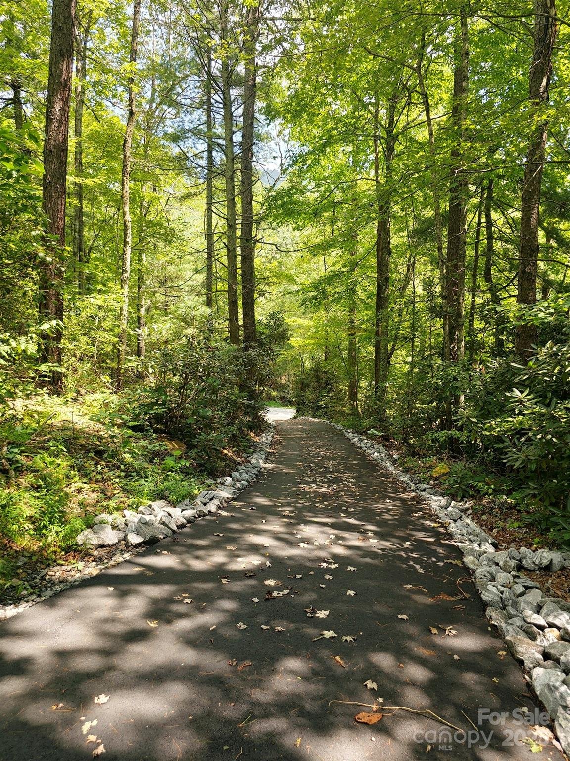Property image 4 at 12 Bird Creek Estates Road, Black Mountain, NC 28711