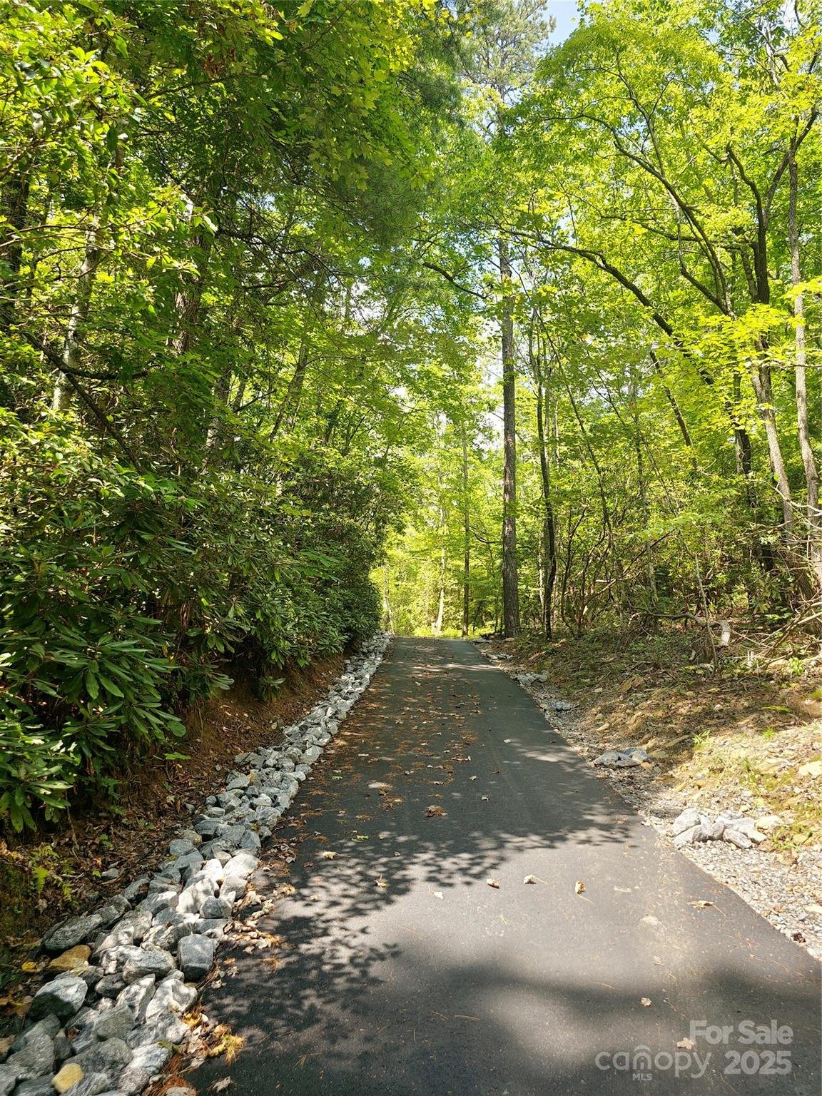 Property image 5 at 12 Bird Creek Estates Road, Black Mountain, NC 28711