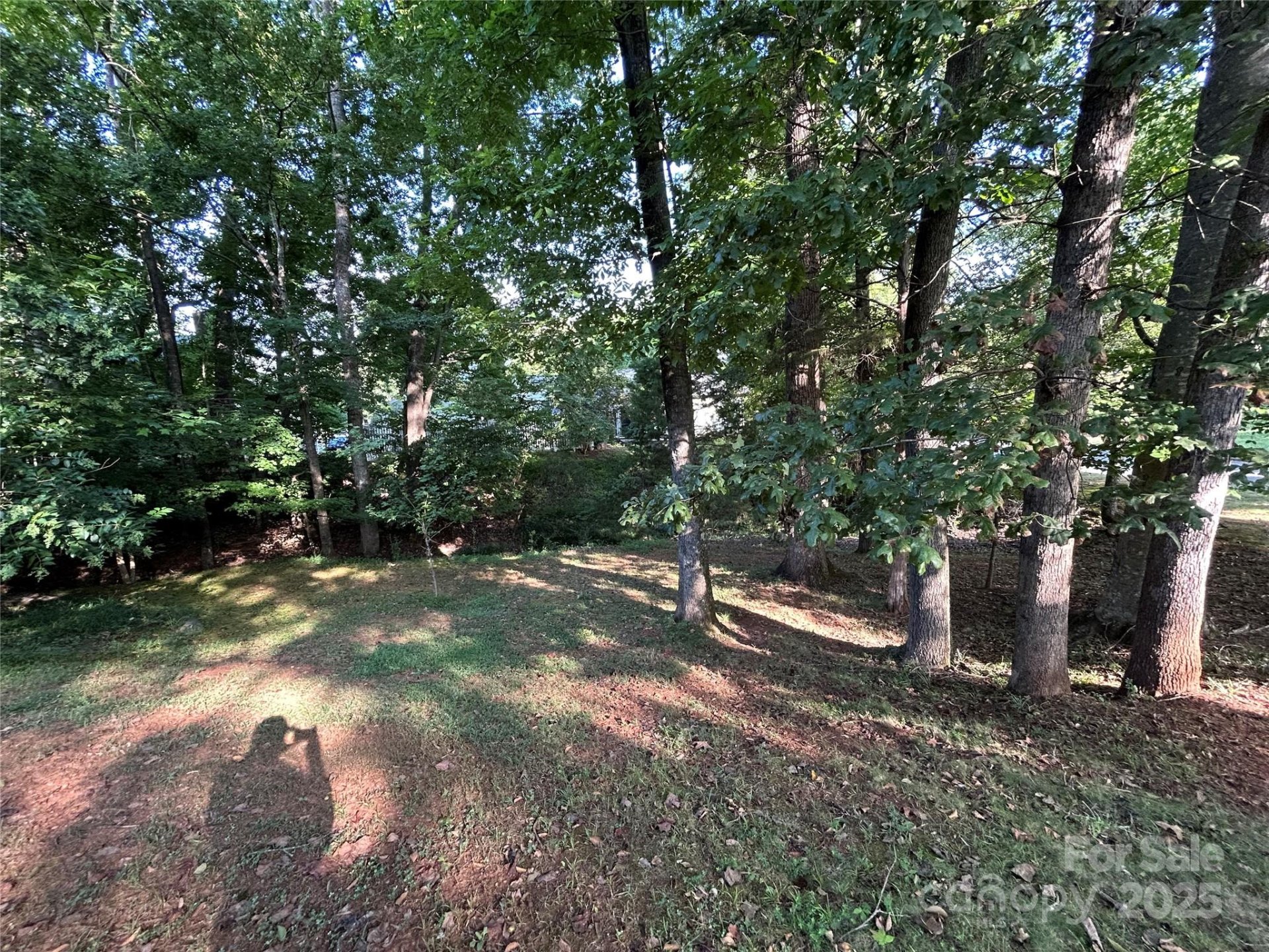 Property image 5 at 1034 Sardis Cove Drive, Charlotte, NC 28270