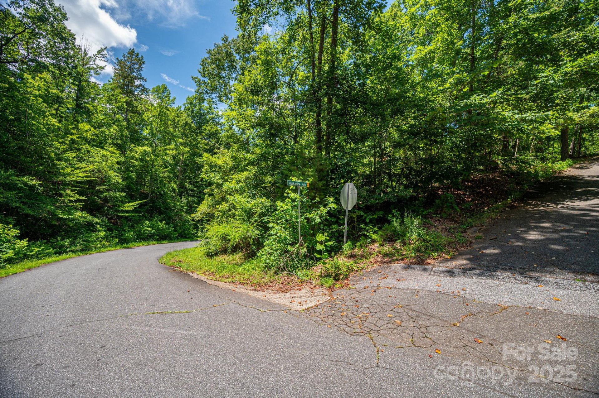 Property image 5 at Lot 177 Plantation Drive, Rutherfordton, NC 28139