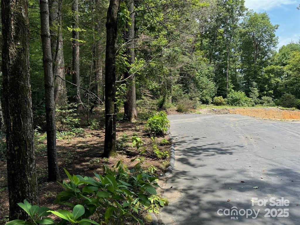 Property image 5 at 105 Maple Hill Drive, Flat Rock, NC 28731