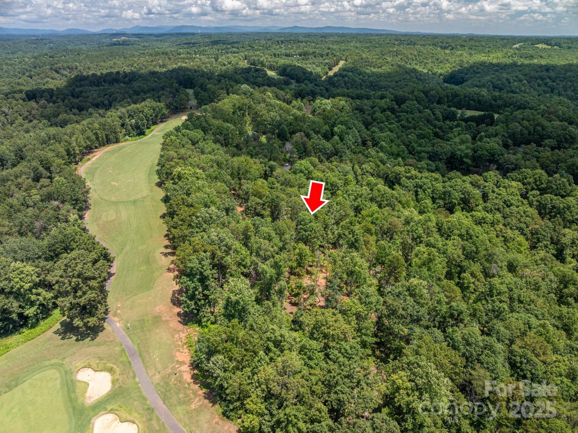 Property image 4 at Lot 191 Plantation Drive, Rutherfordton, NC 28139