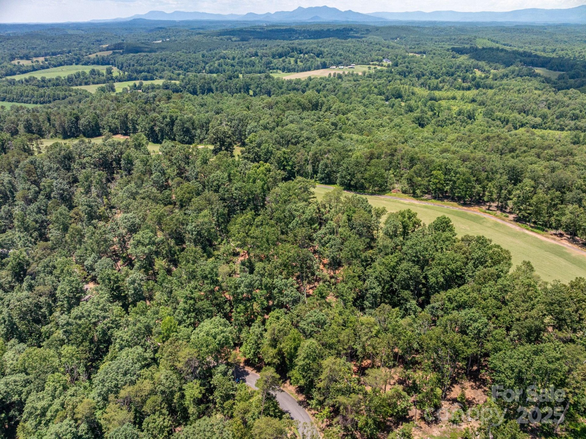 Property image 3 at Lot 193 Plantation Drive, Rutherfordton, NC 28139