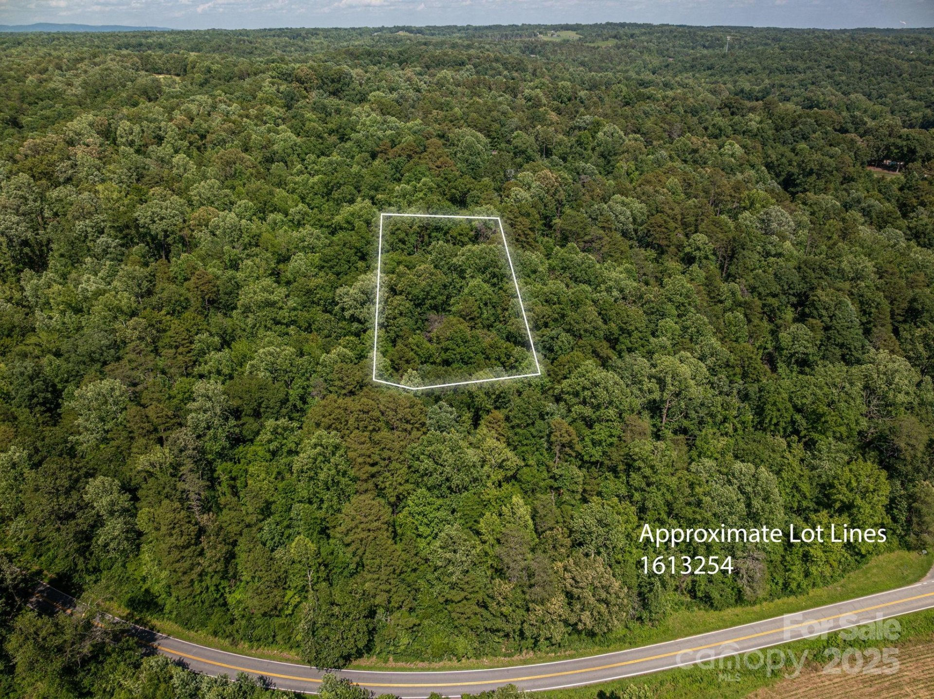 Property image 2 at Lot 166 Plantation Drive, Rutherfordton, NC 28139