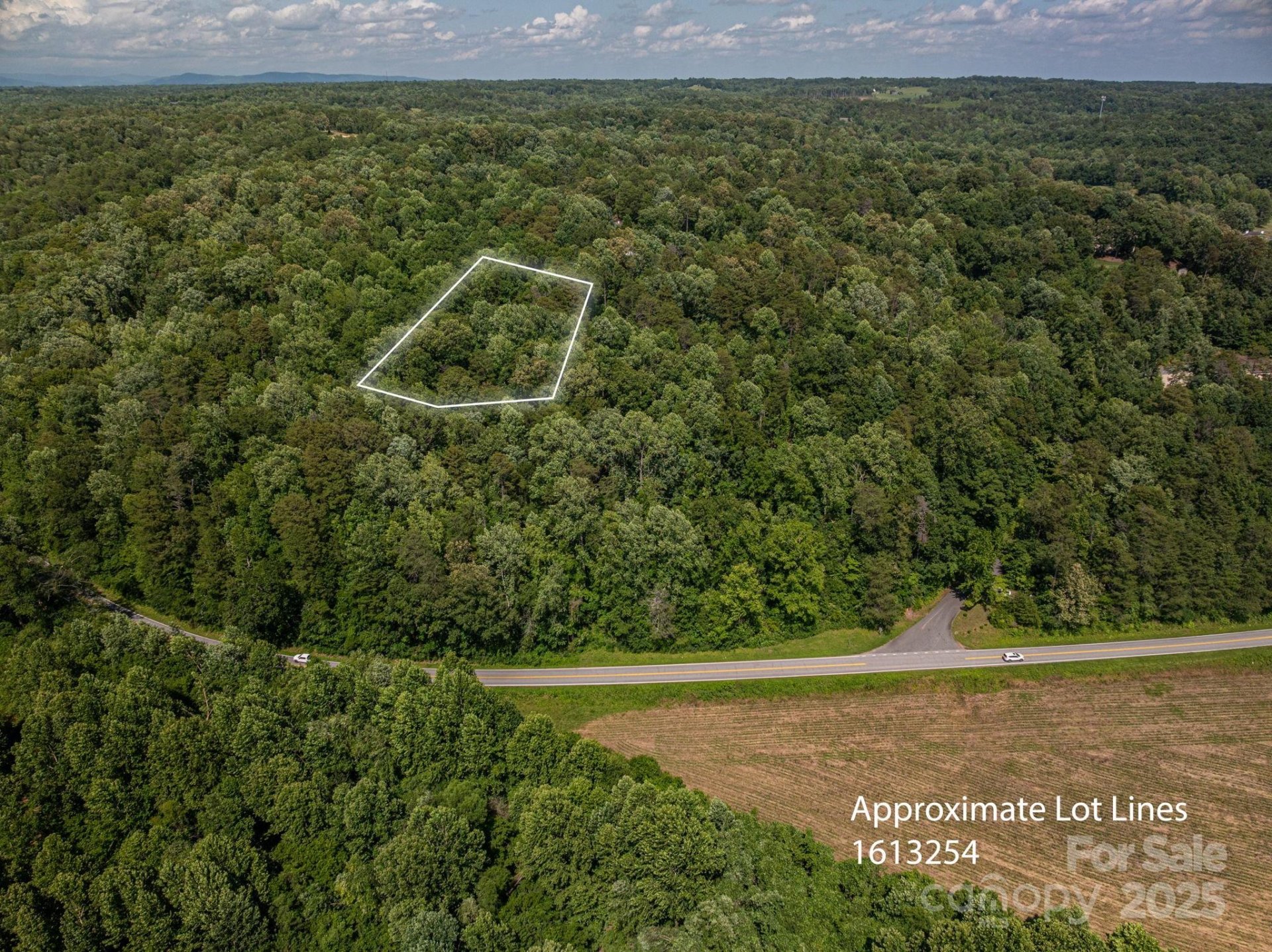 Property image 4 at Lot 166 Plantation Drive, Rutherfordton, NC 28139