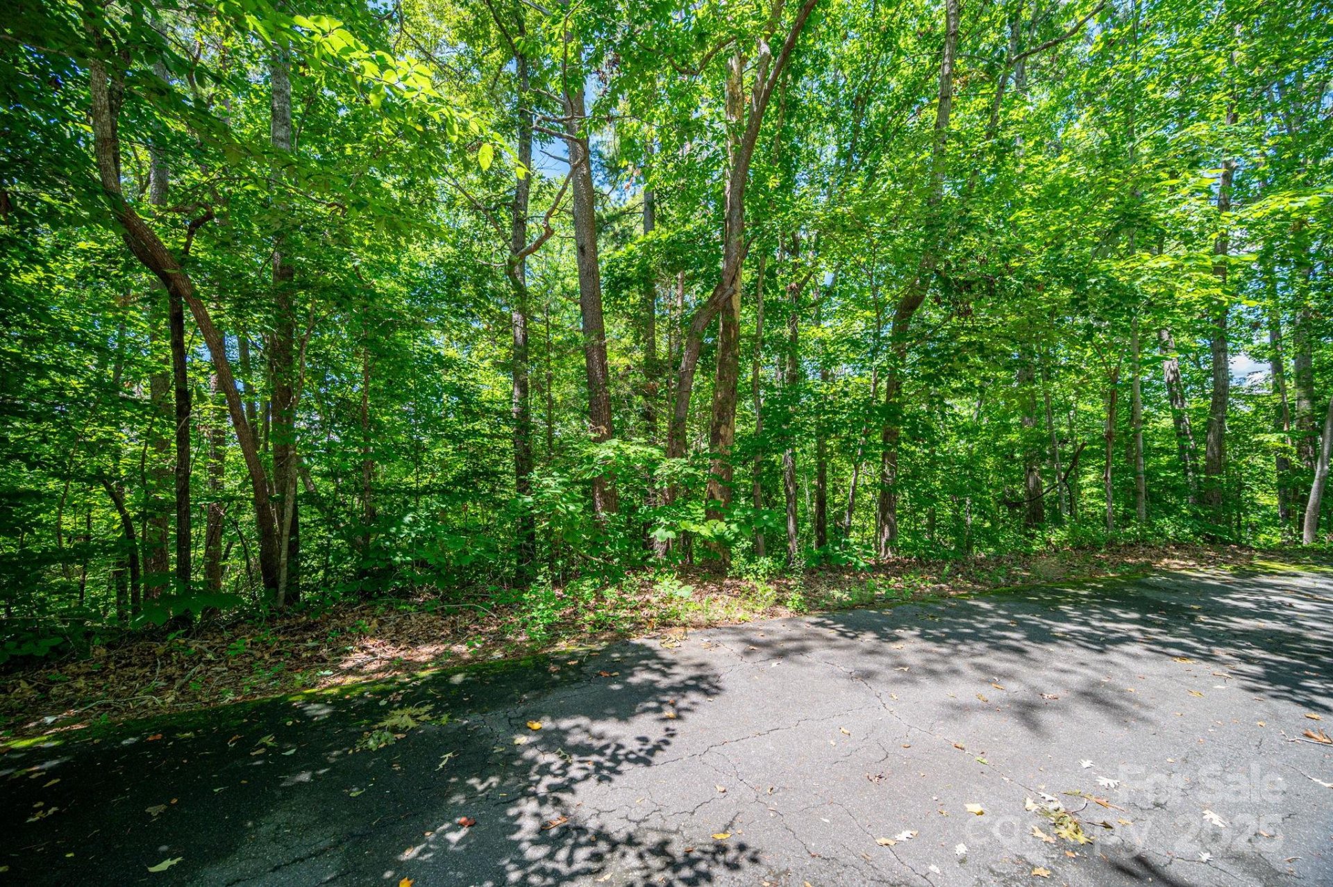 Property image 5 at Lot 166 Plantation Drive, Rutherfordton, NC 28139