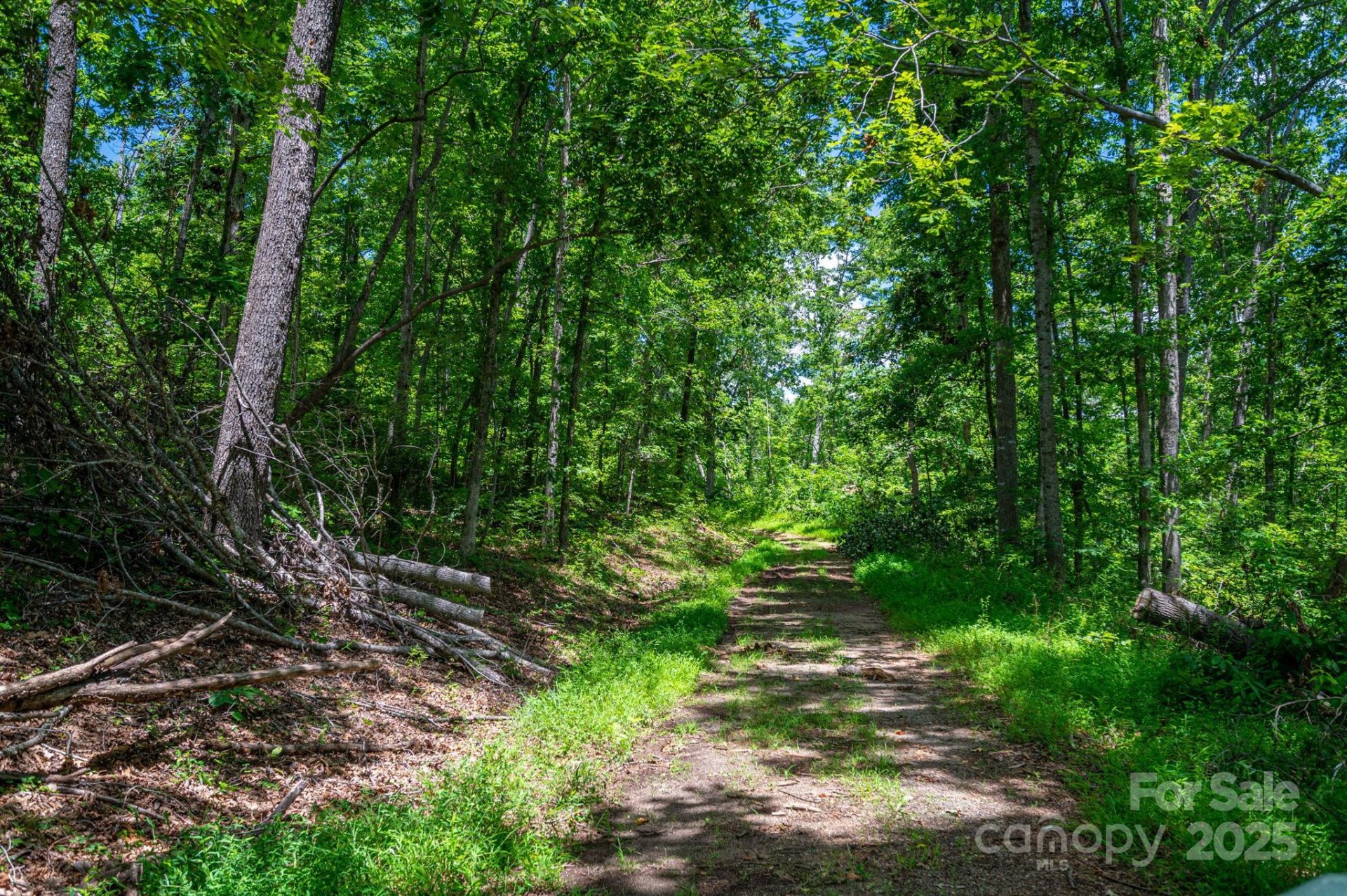Property image 2 at Lot 210 Plantation Drive, Rutherfordton, NC 28139