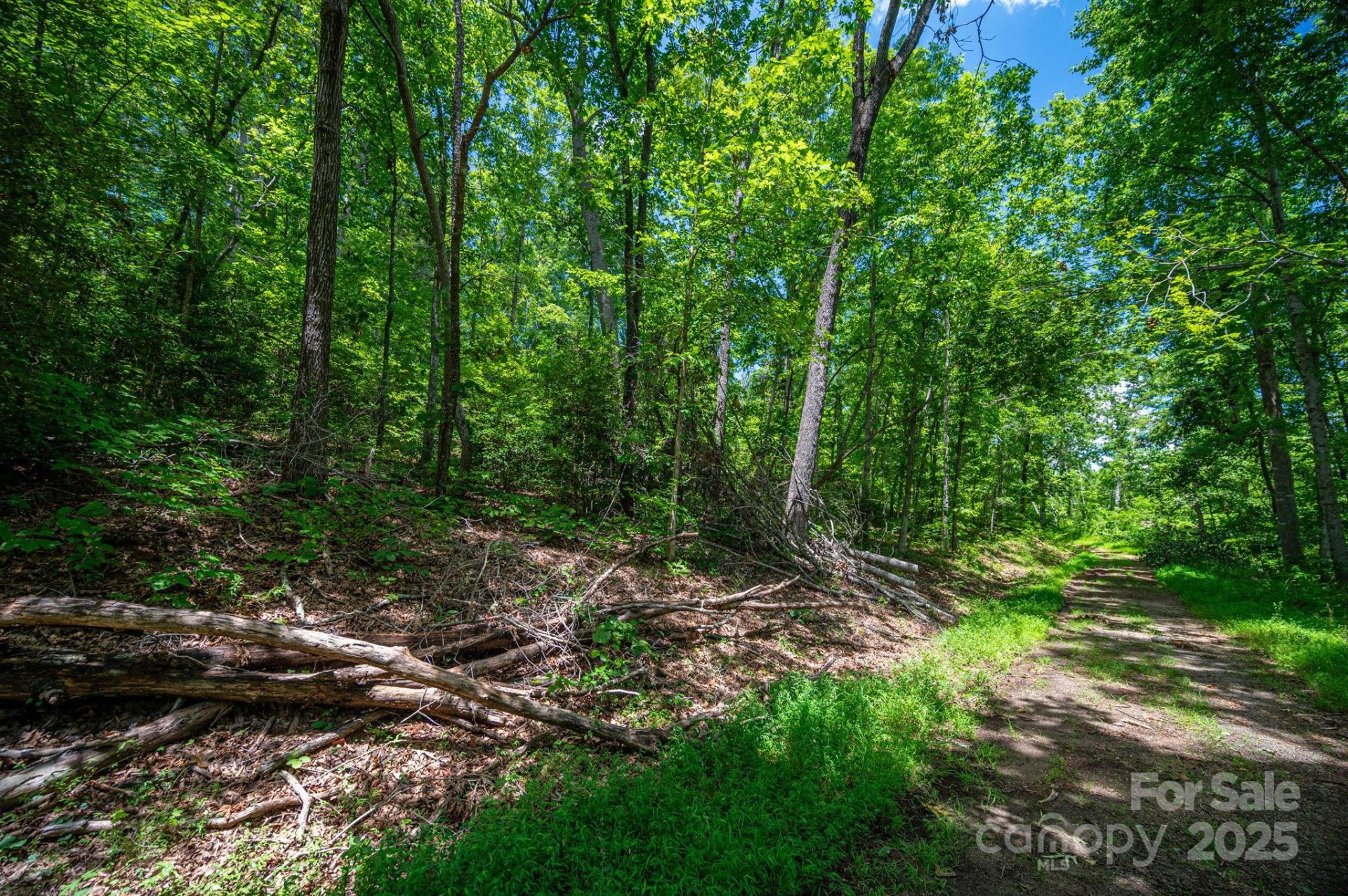 Property image 5 at Lot 210 Plantation Drive, Rutherfordton, NC 28139