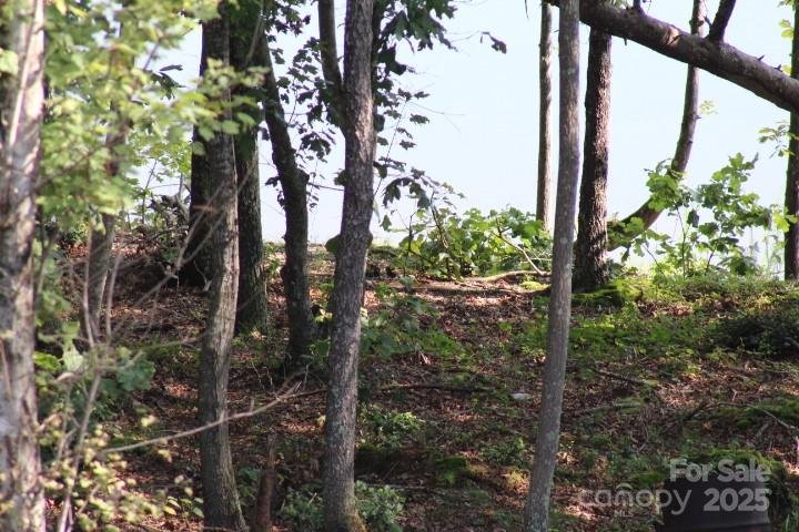 Property image 5 at 4083 Grays Peak Summit None, Connelly Springs, NC 28612