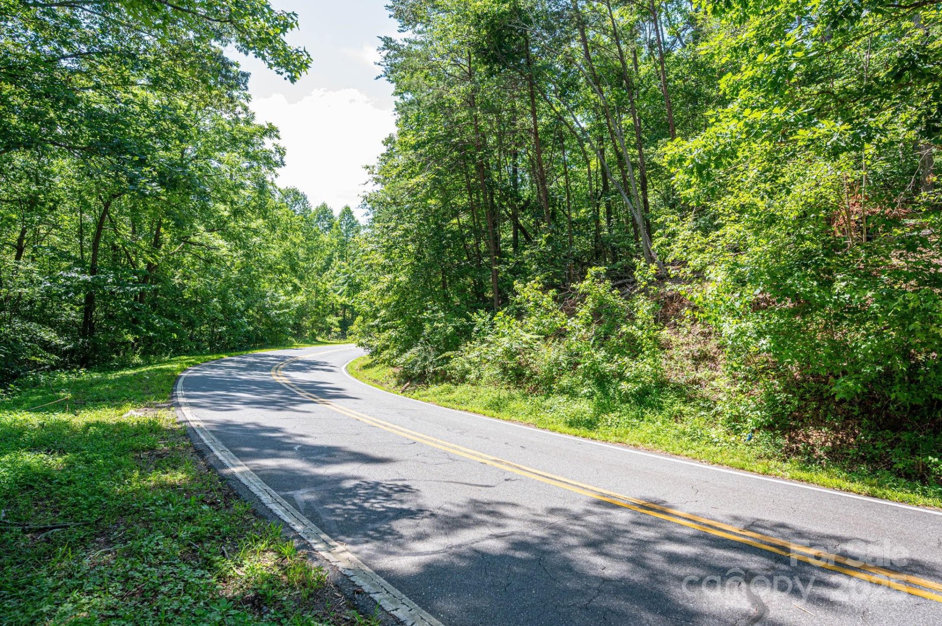 Property image 3 at Lot 3 Cleghorn Mill Road, Rutherfordton, NC 28139