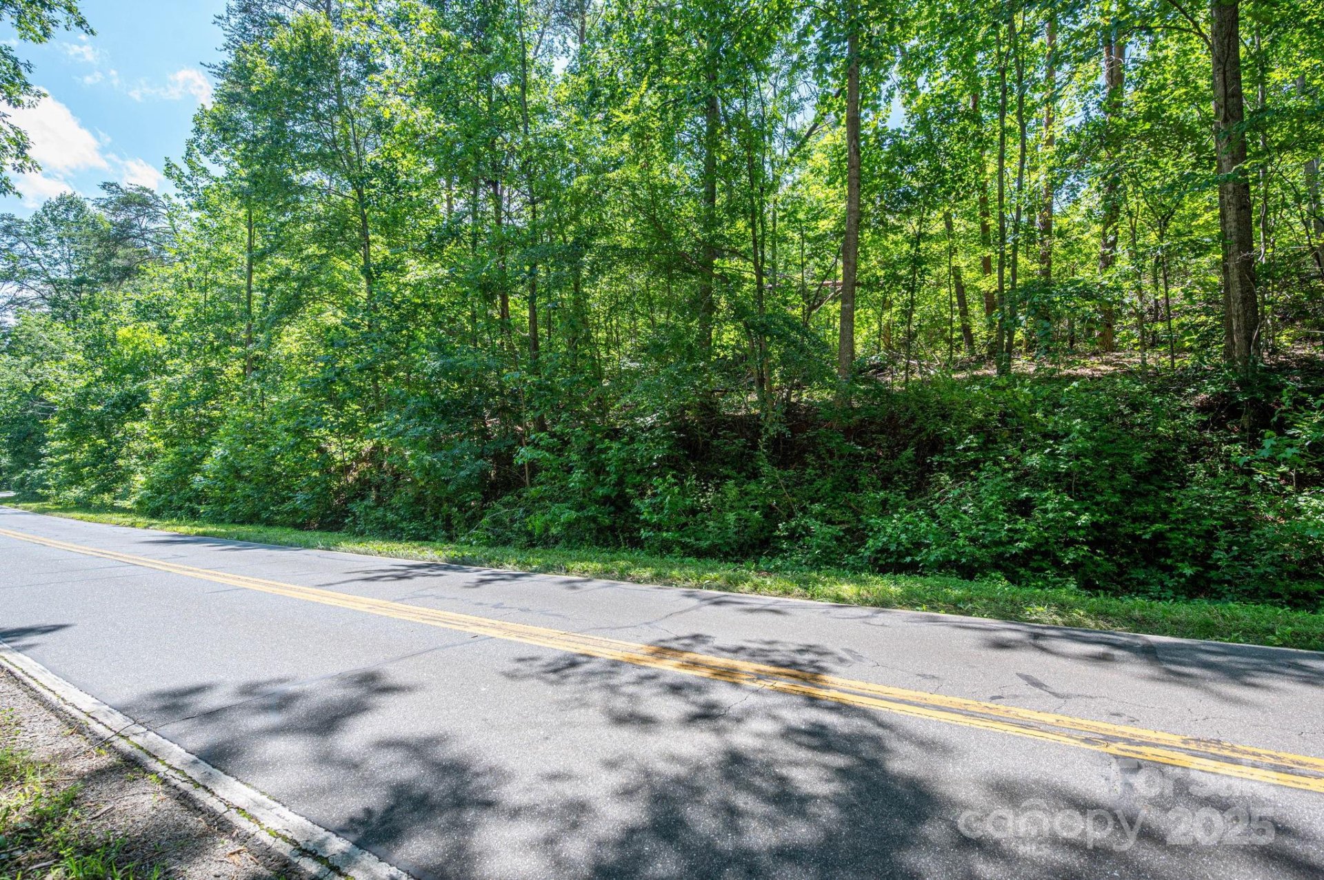 Property image 2 at Lot 1 Cleghorn Mill Road, Rutherfordton, NC 28139