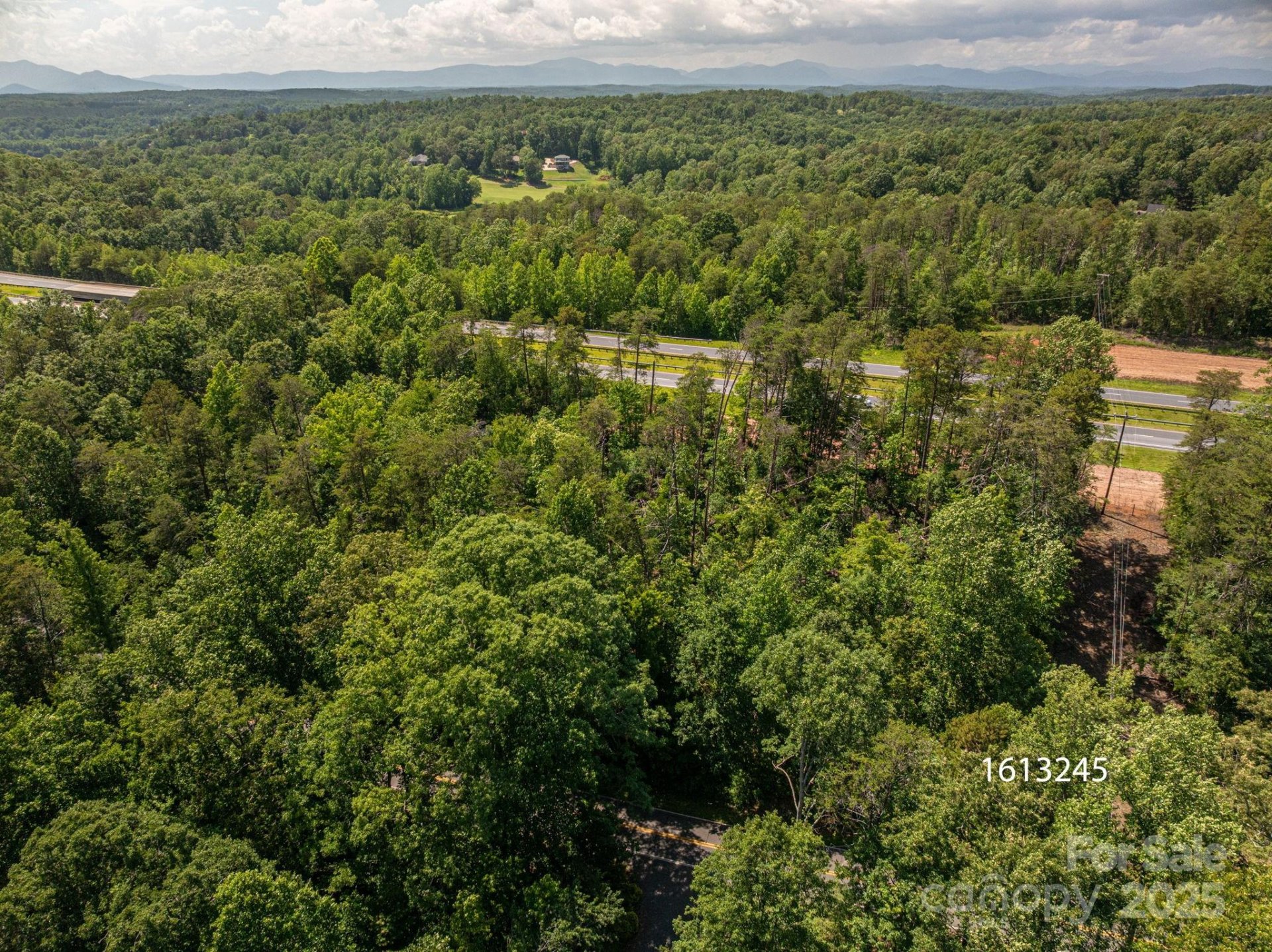 Property image 3 at Lot 1 Cleghorn Mill Road, Rutherfordton, NC 28139