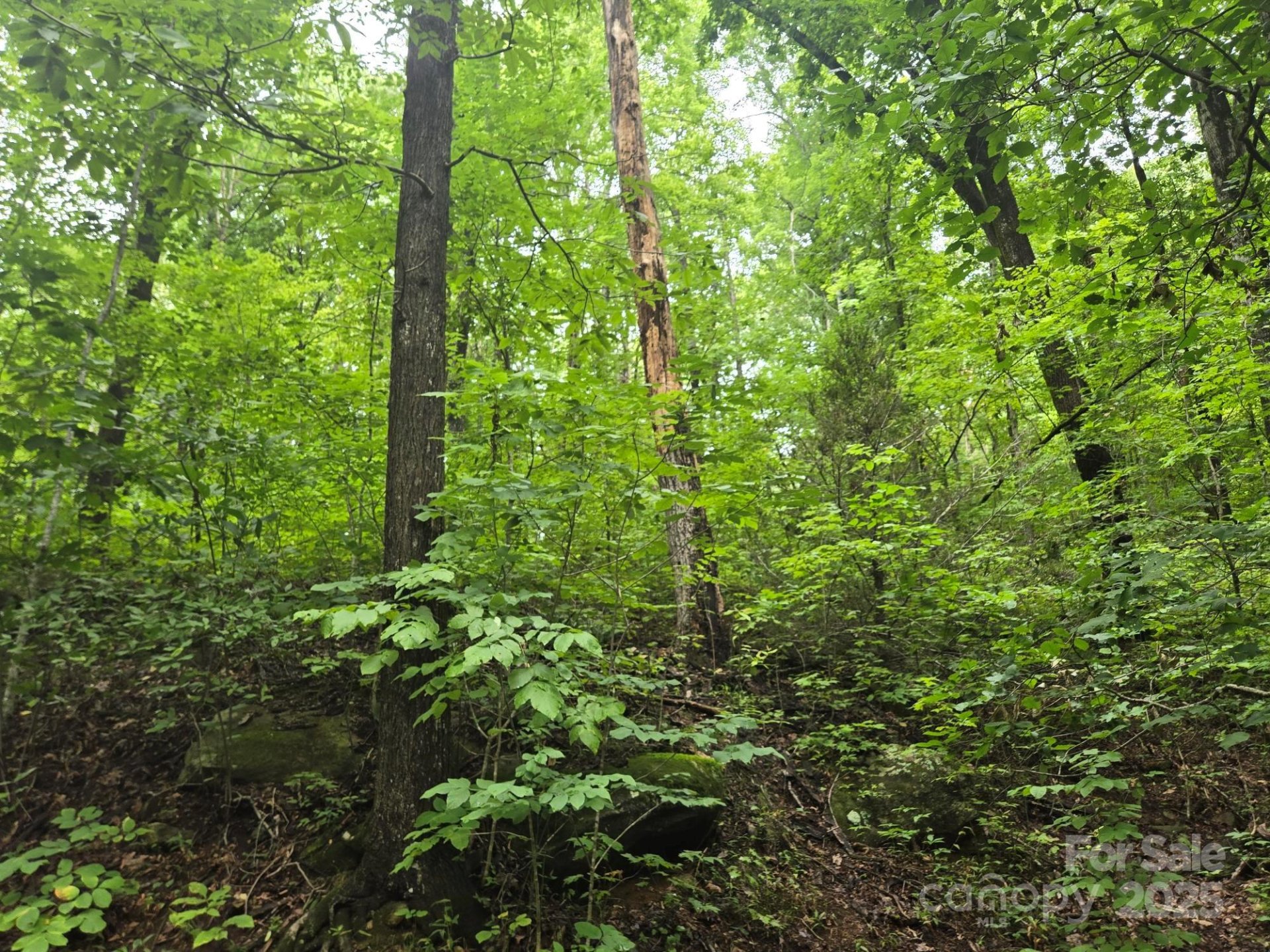 Property image 2 at Lot 96 Chalet Road, Lake Lure, NC 28746