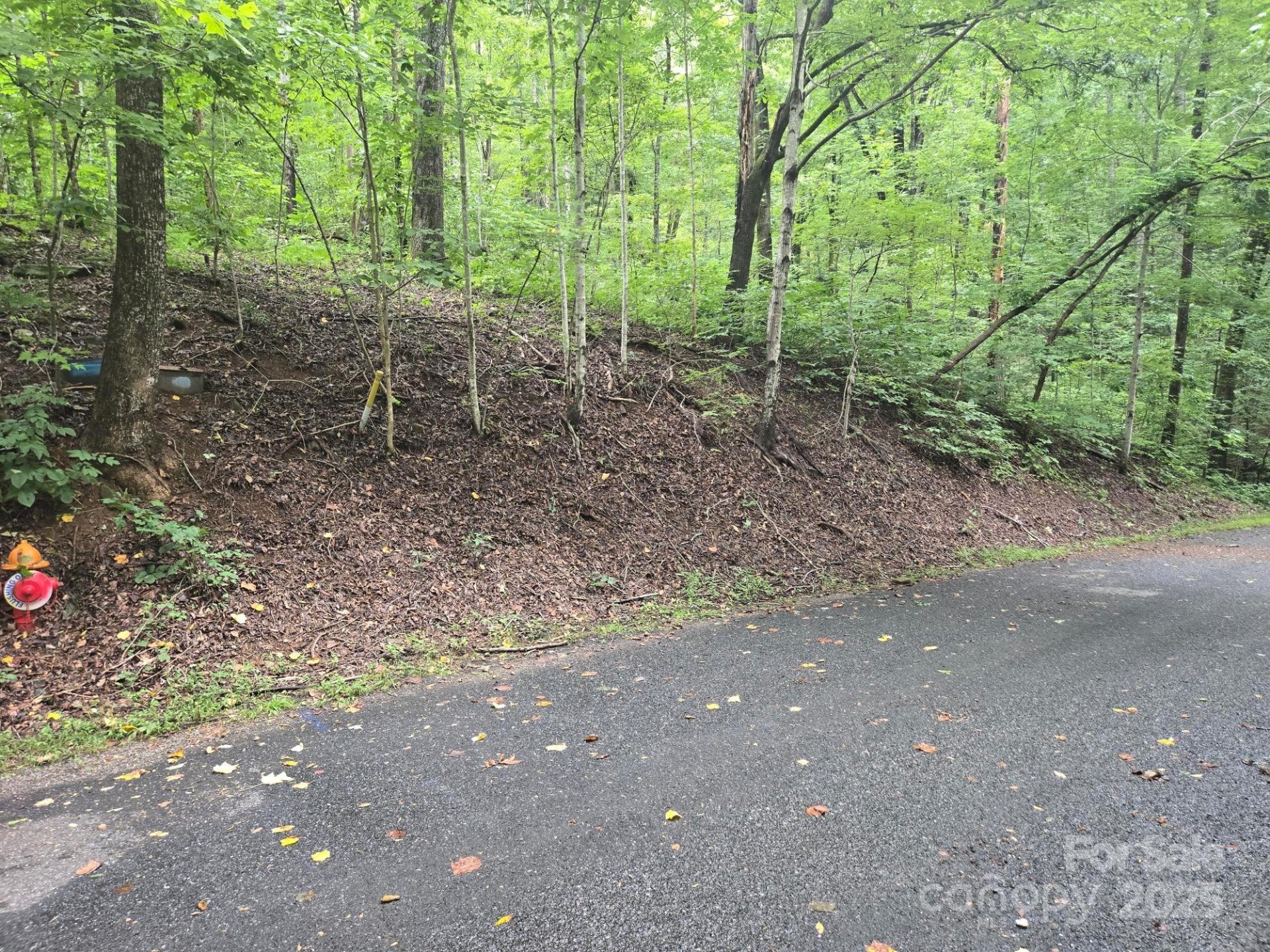 Property image 5 at Lot 96 Chalet Road, Lake Lure, NC 28746
