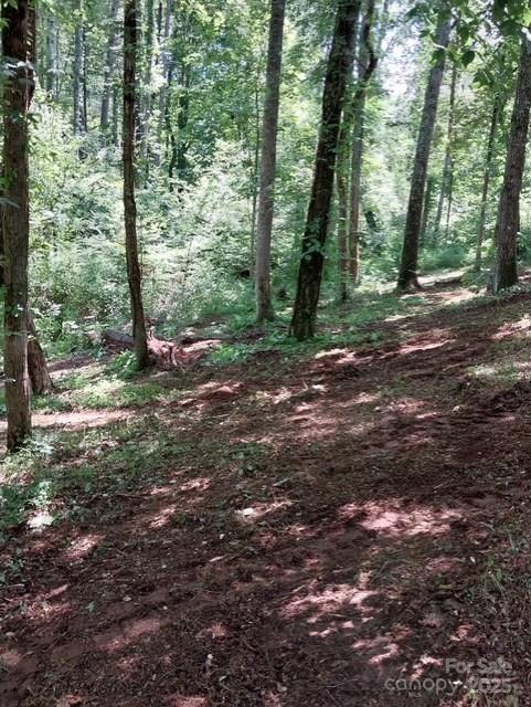 Property image 4 at 105 113 Edgewater Point, Valdese, NC 28690