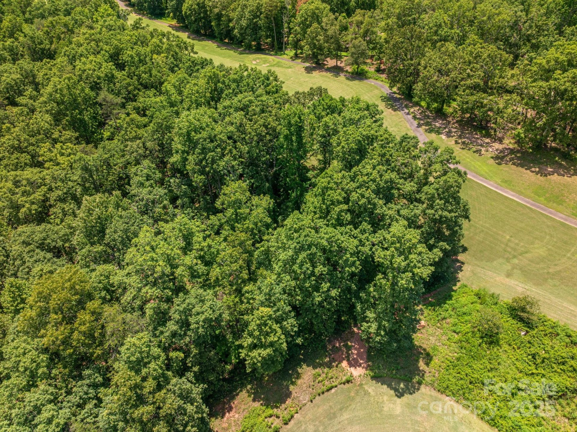 Property image 4 at Lot 219 Plantation Drive, Rutherfordton, NC 28139