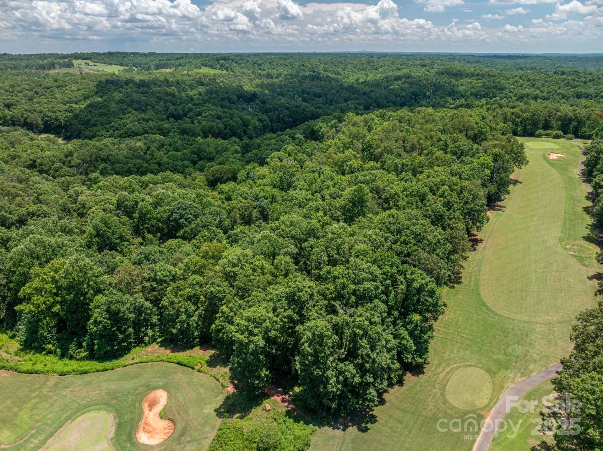 Property image 5 at Lot 219 Plantation Drive, Rutherfordton, NC 28139