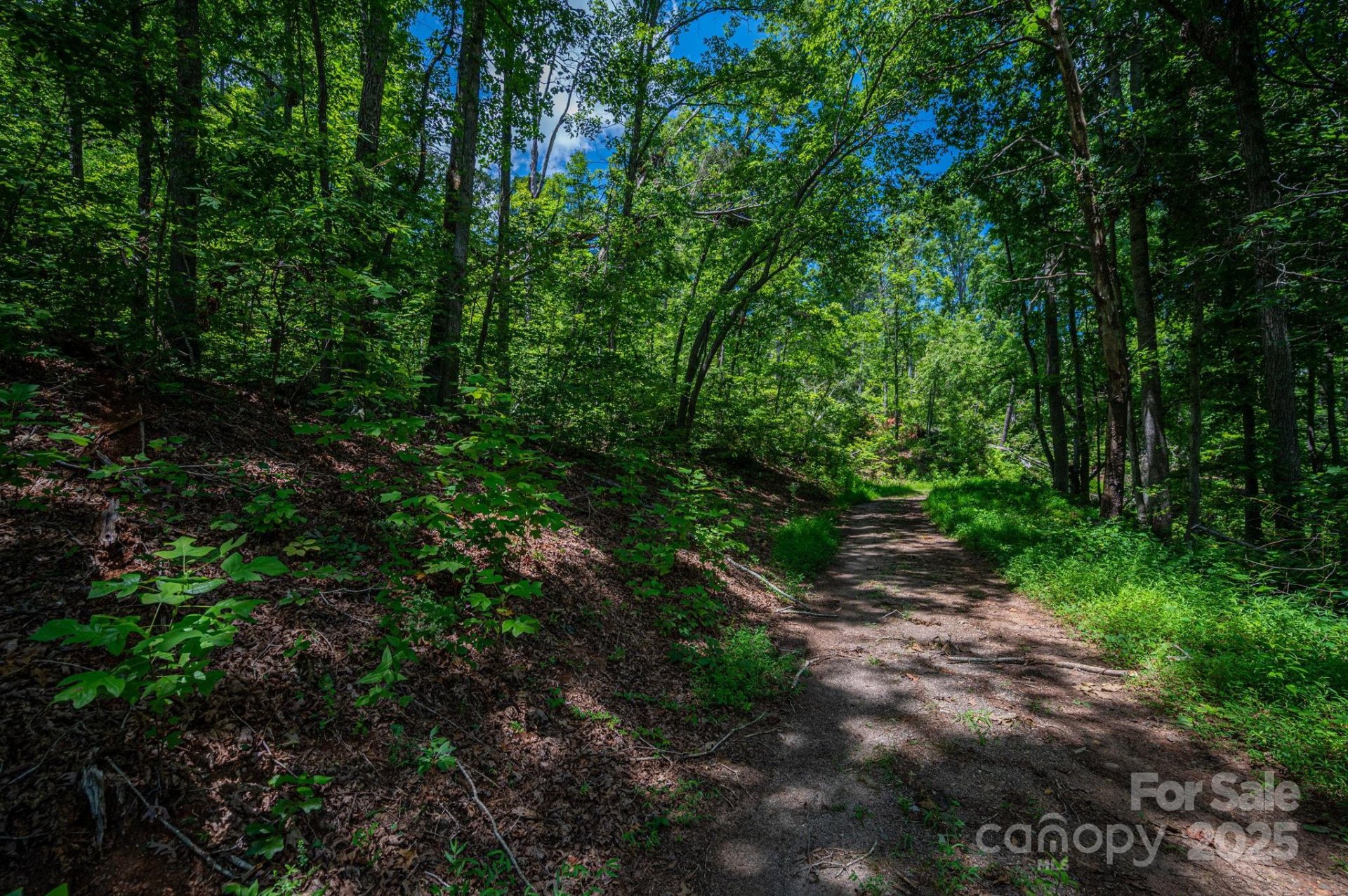 Property image 2 at Lot 221 Plantation Drive, Rutherfordton, NC 28139