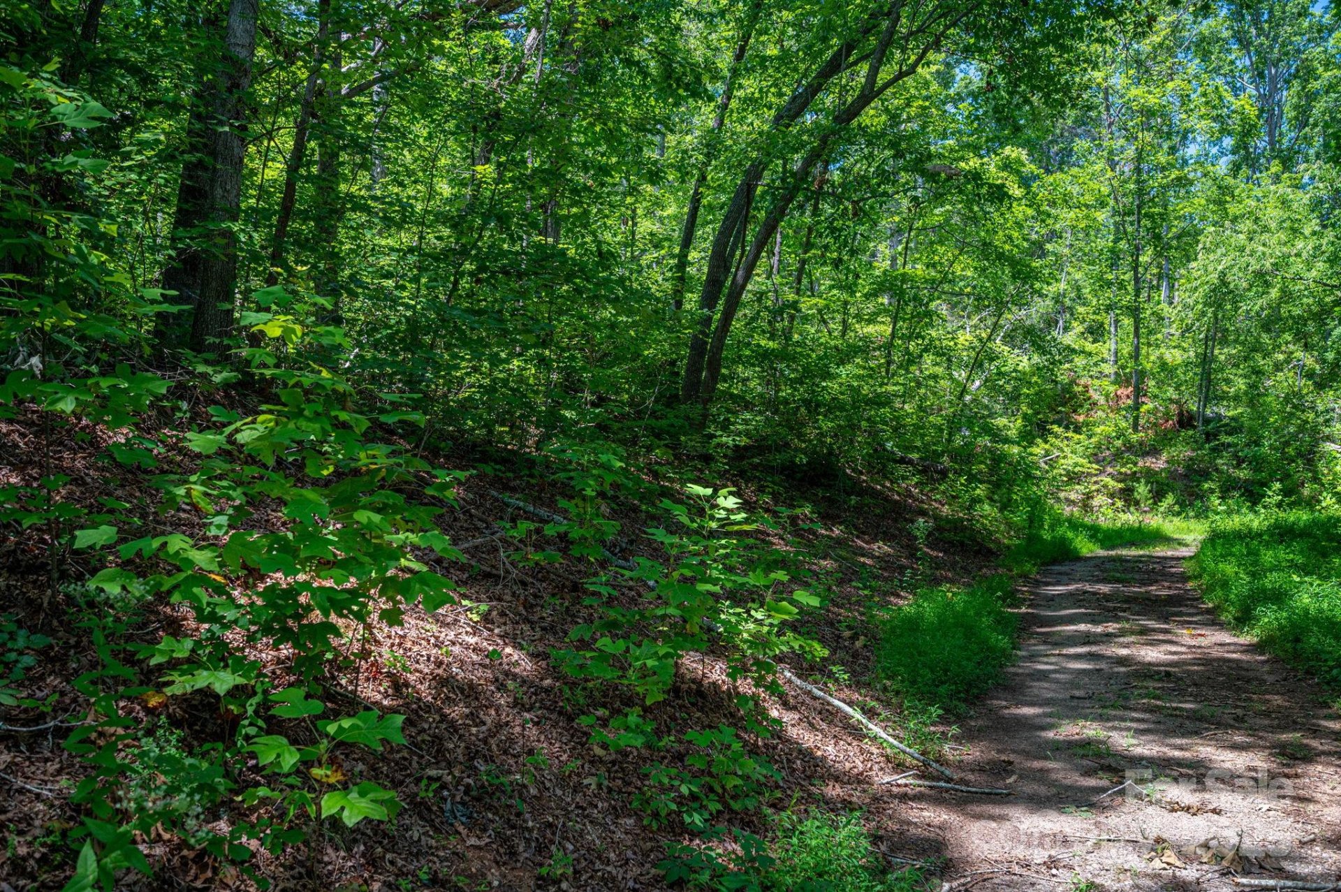 Property image 3 at Lot 221 Plantation Drive, Rutherfordton, NC 28139