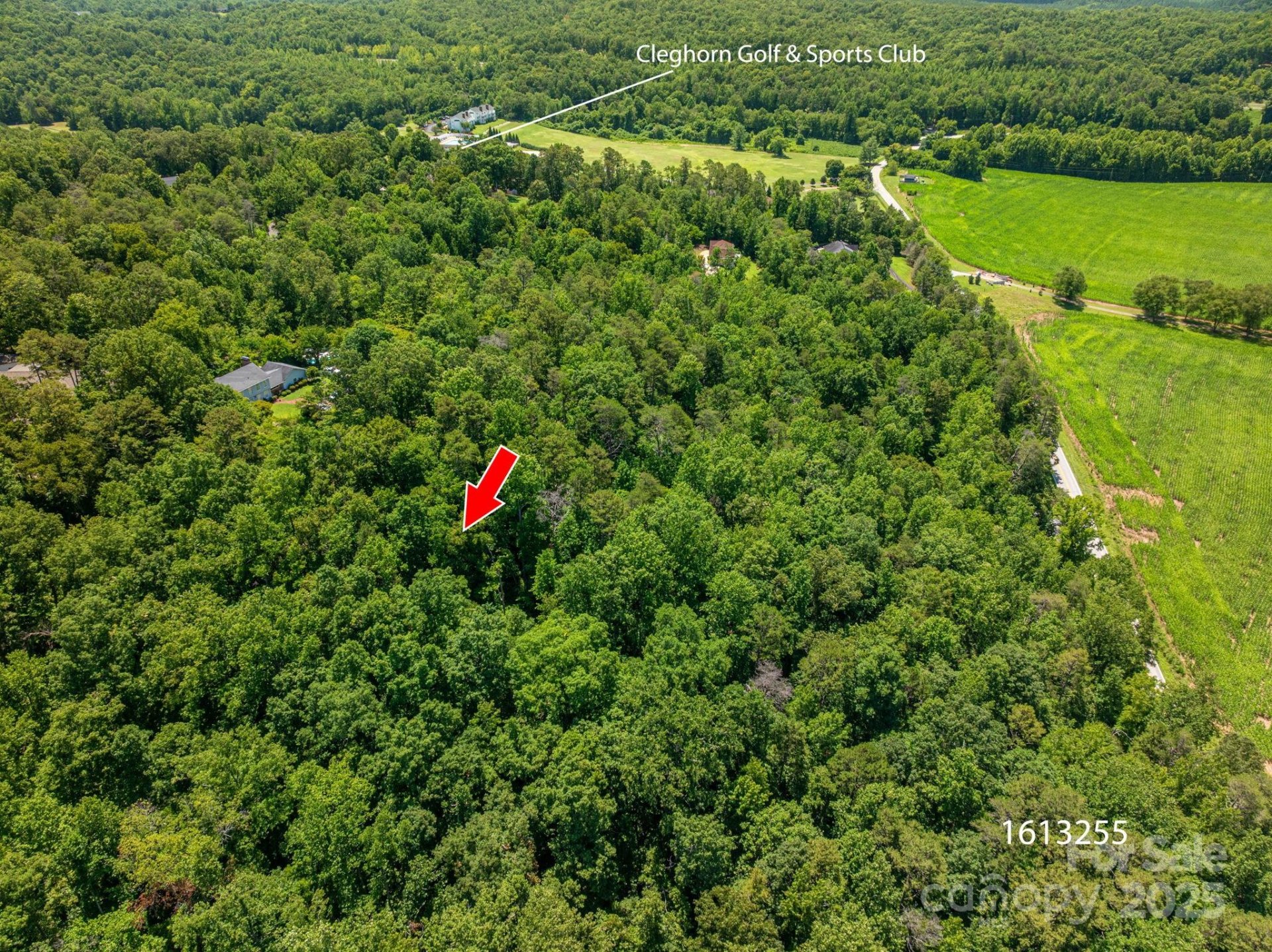 Property image 4 at Lot 167 Plantation Drive, Rutherfordton, NC 28139