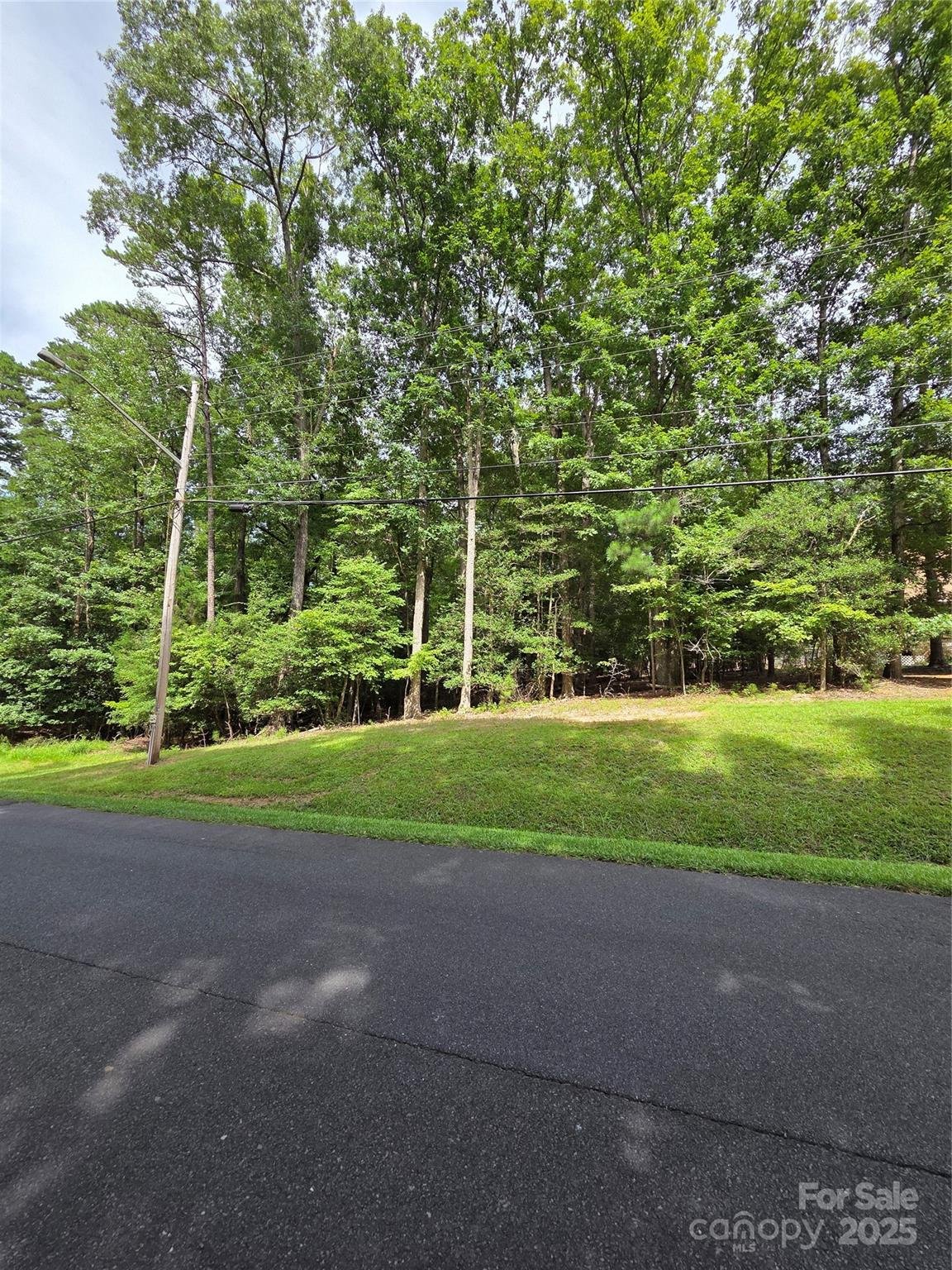 Property image 3 at 242 Creswell Road, Mount Gilead, NC 27306