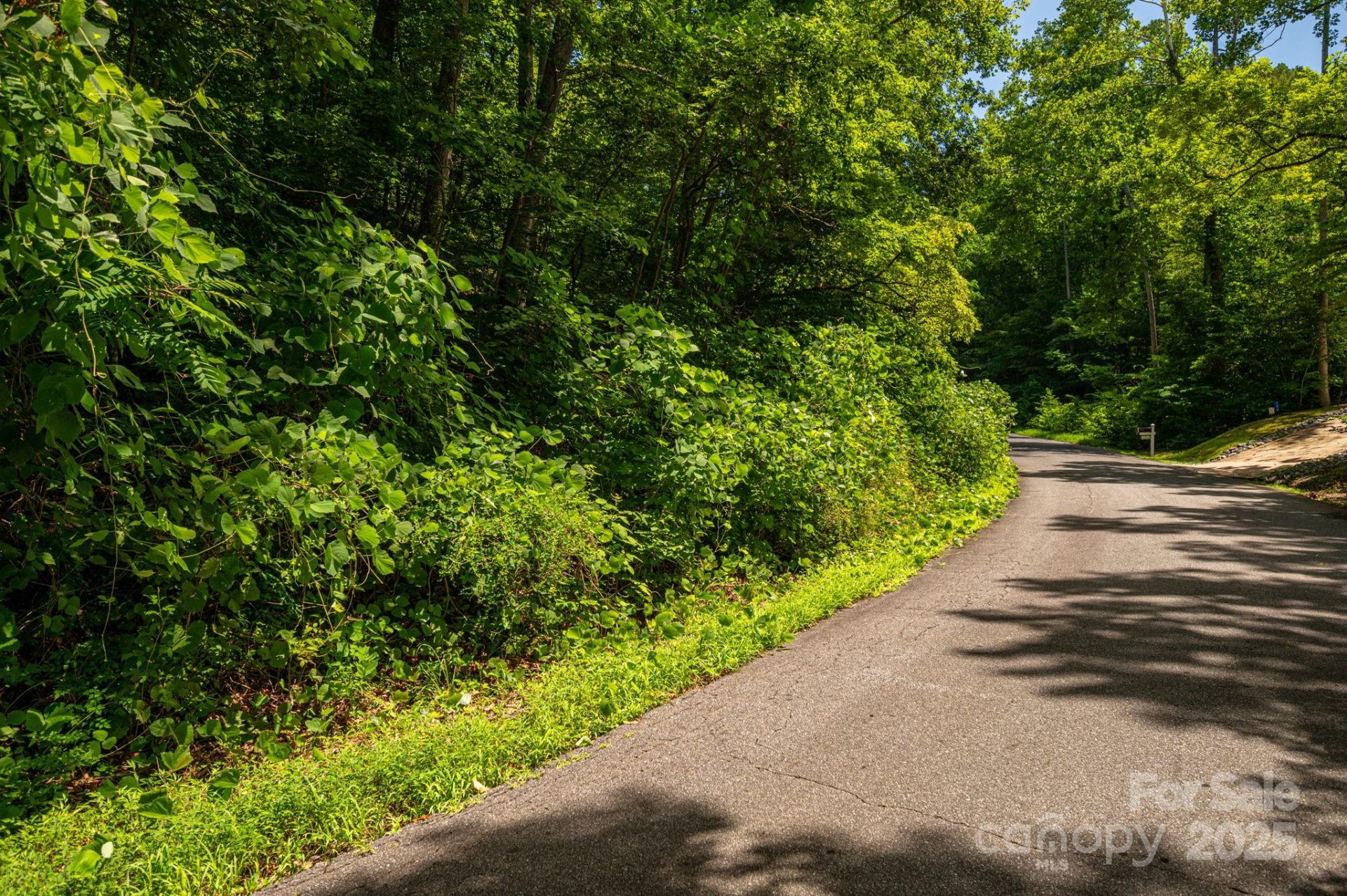 Property image 2 at Lot 164 Plantation Drive, Rutherfordton, NC 28139
