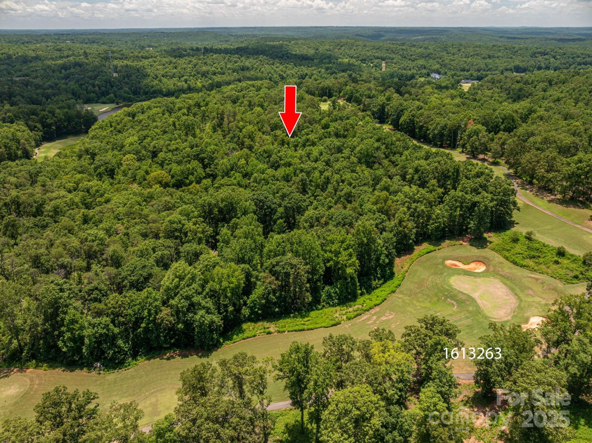 Property image 3 at Lot 214 Plantation Drive, Rutherfordton, NC 28139