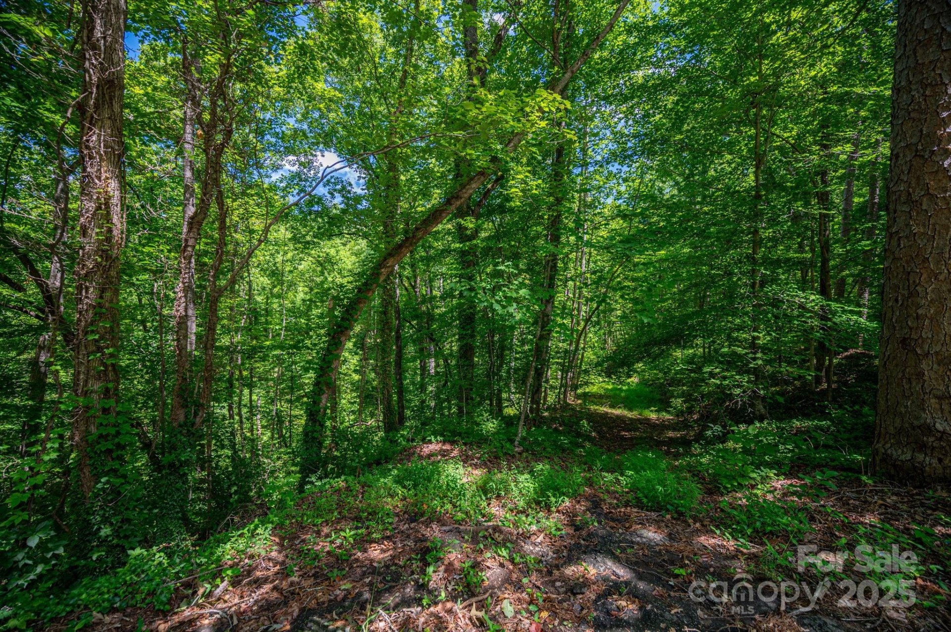 Property image 2 at Lot 168 Plantation Drive, Rutherfordton, NC 28139