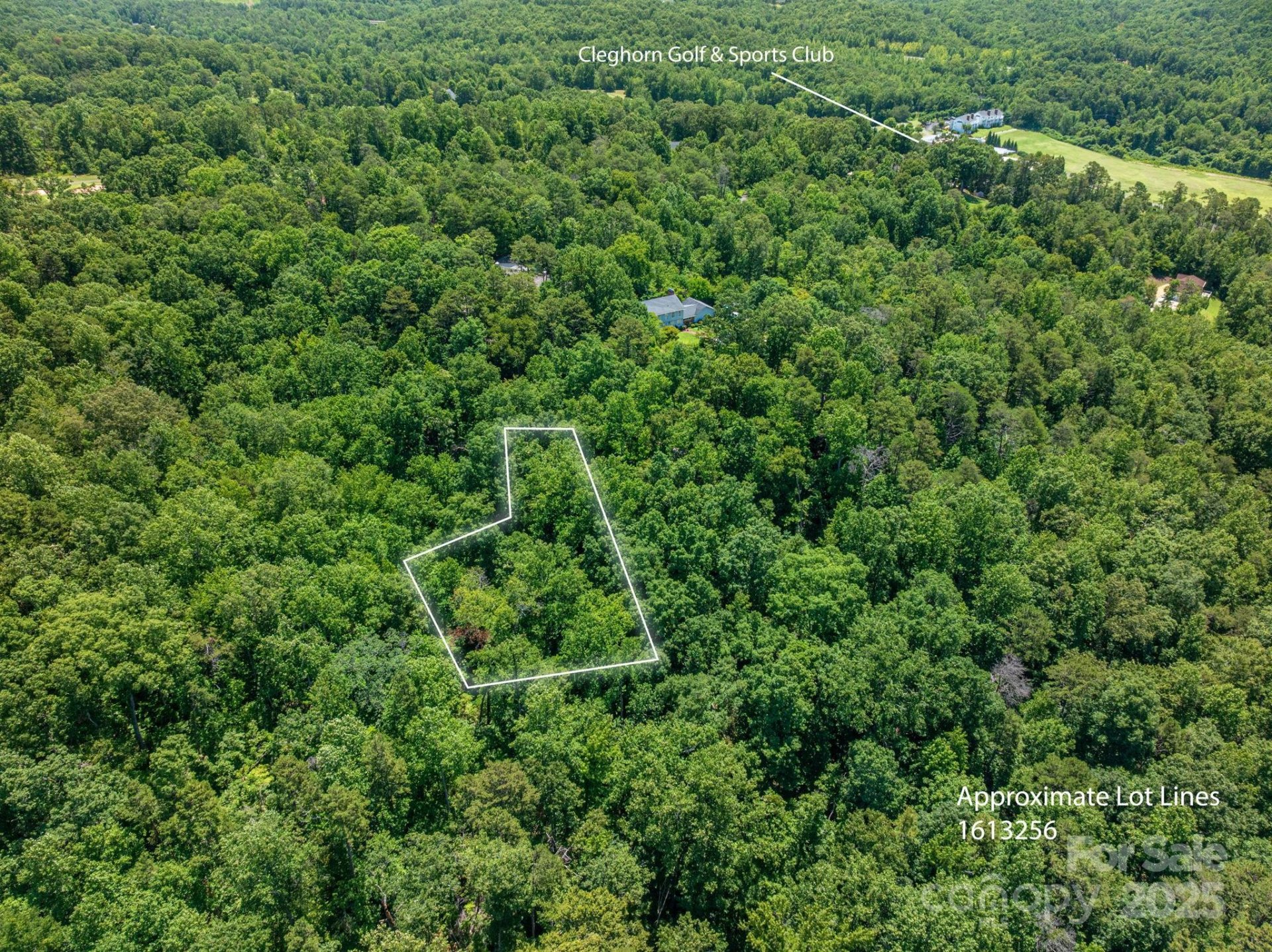 Property image 3 at Lot 168 Plantation Drive, Rutherfordton, NC 28139