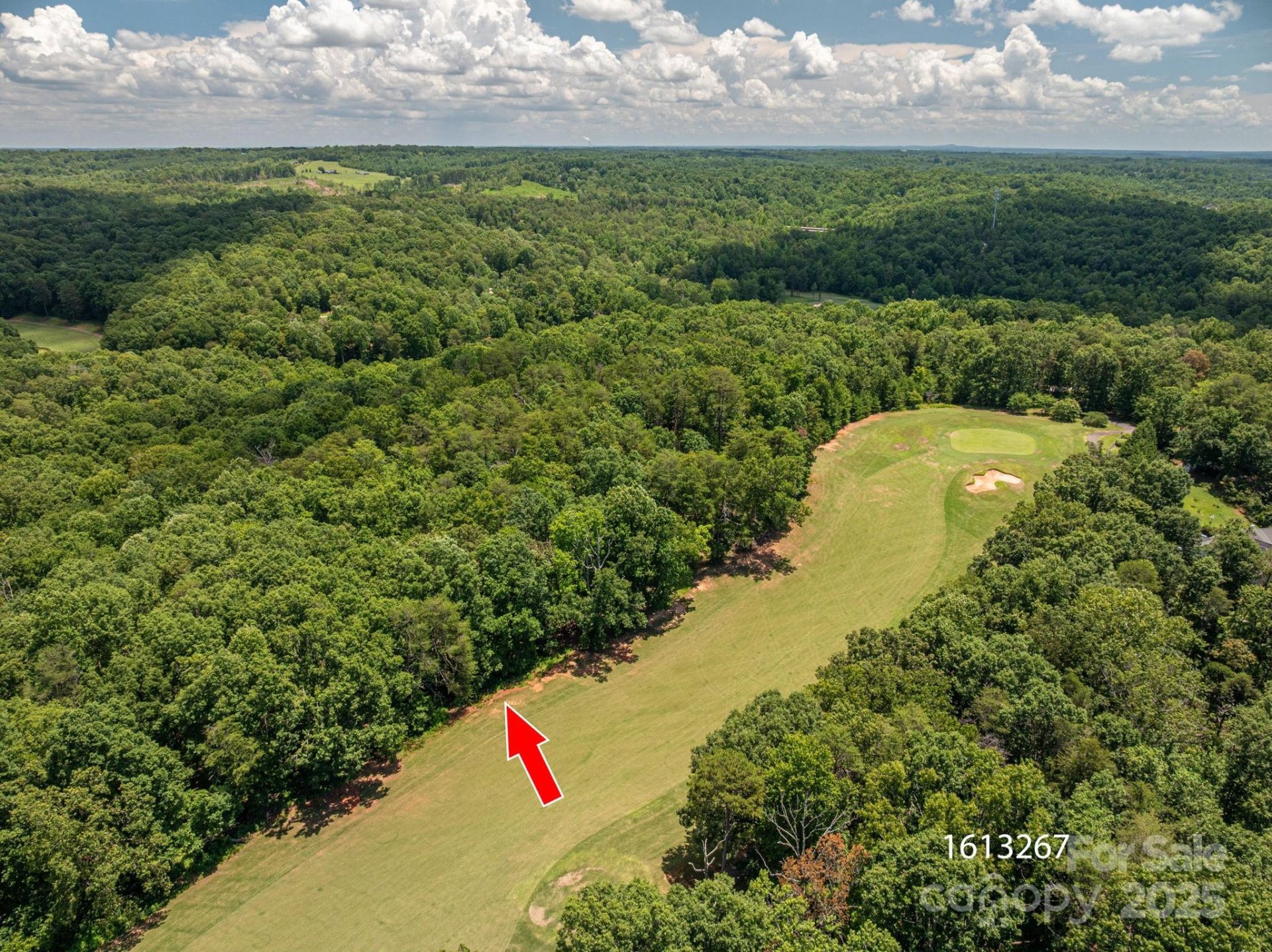 Property image 4 at Lot 217 Plantation Drive, Rutherfordton, NC 28139