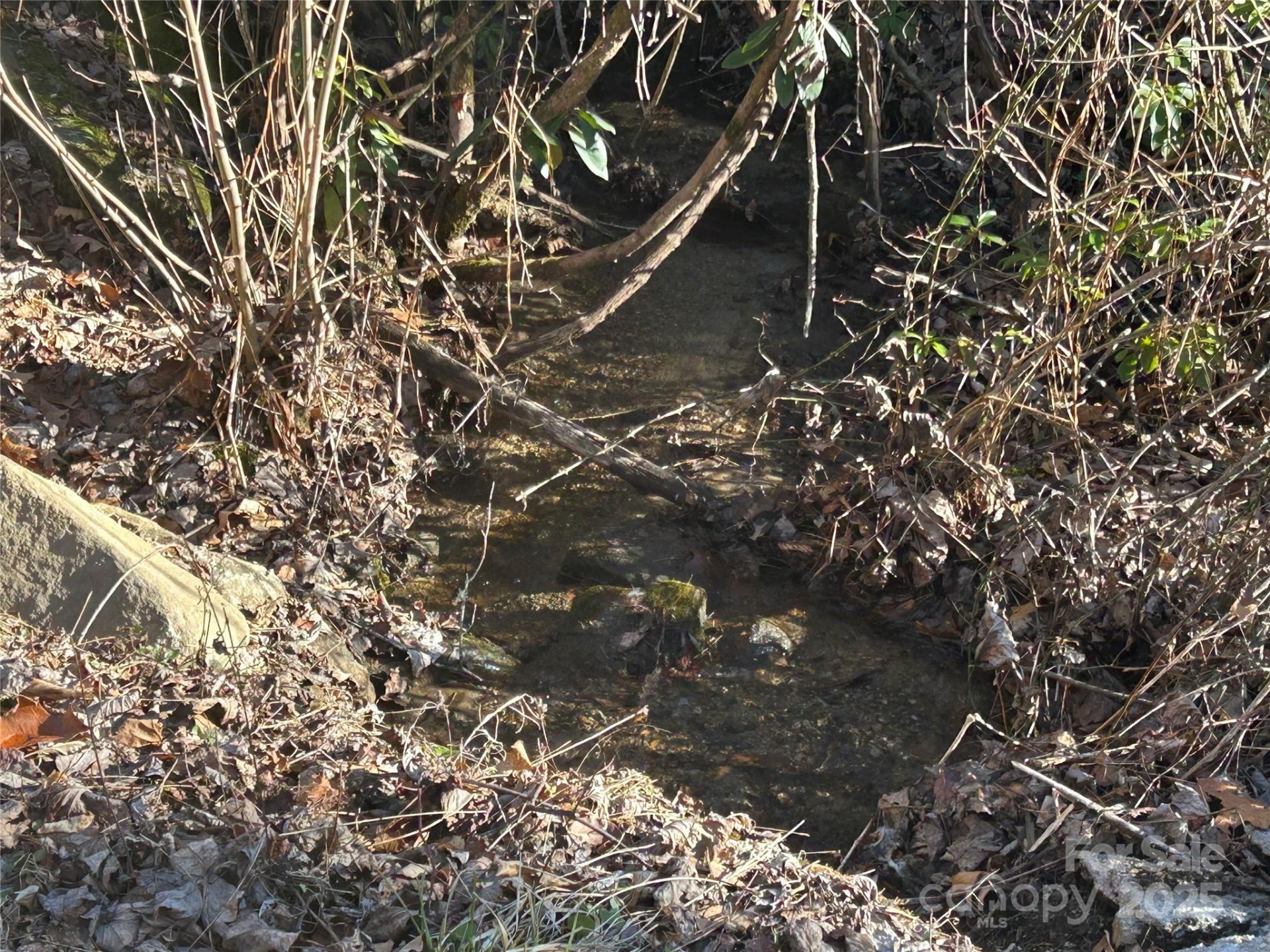 Property image 3 at 25 Little Creek, Maggie Valley, NC 28751