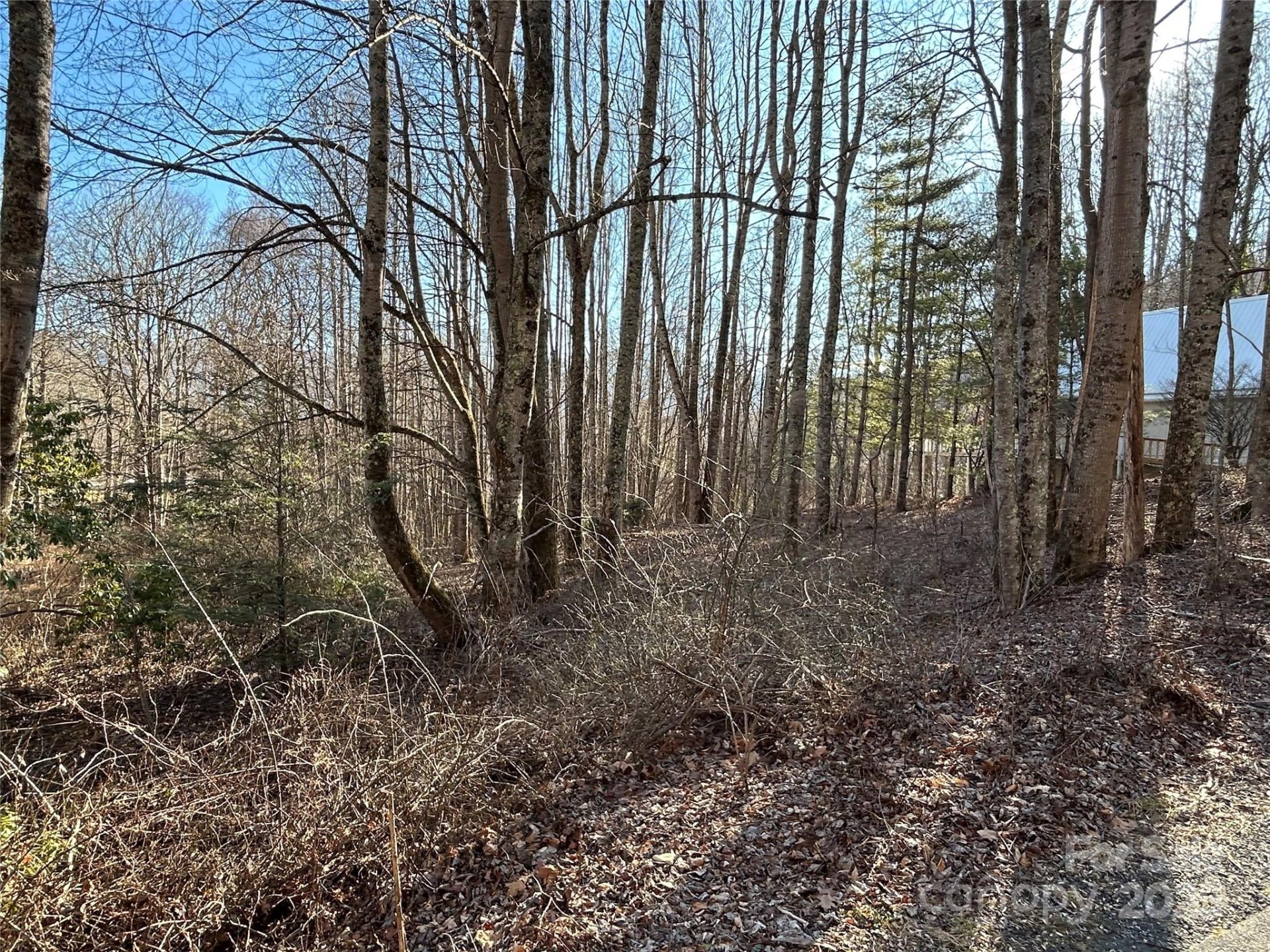 Property image 5 at 25 Little Creek, Maggie Valley, NC 28751