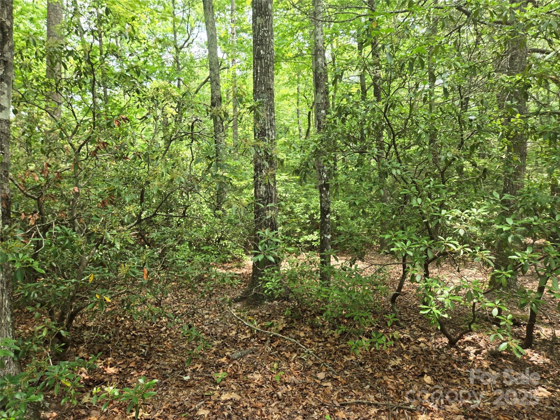 Lot 11 Eagles Crest Way