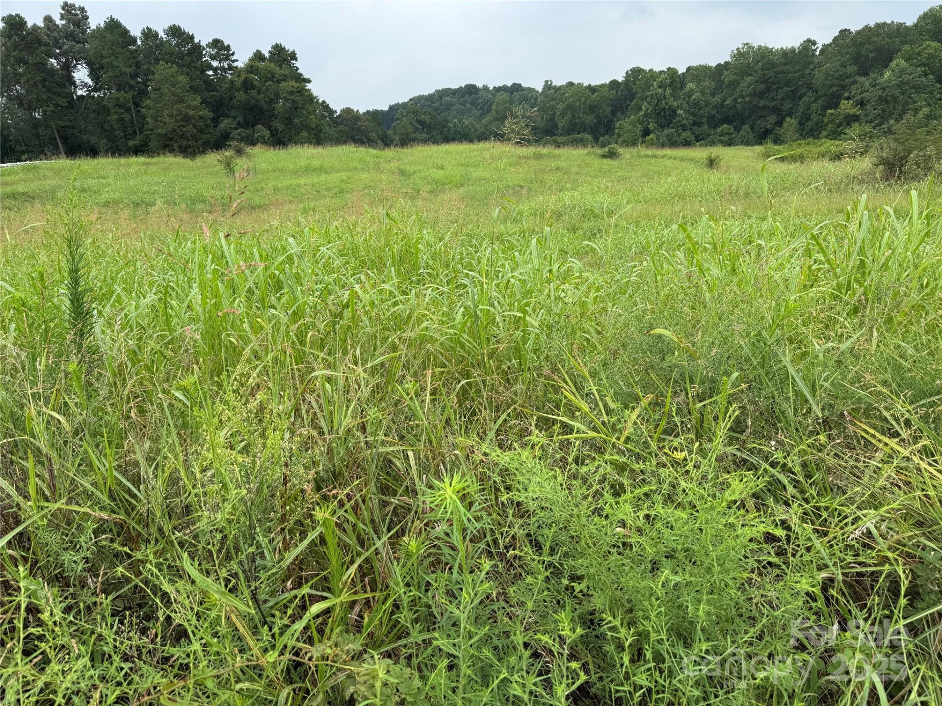 740 Kiser Road