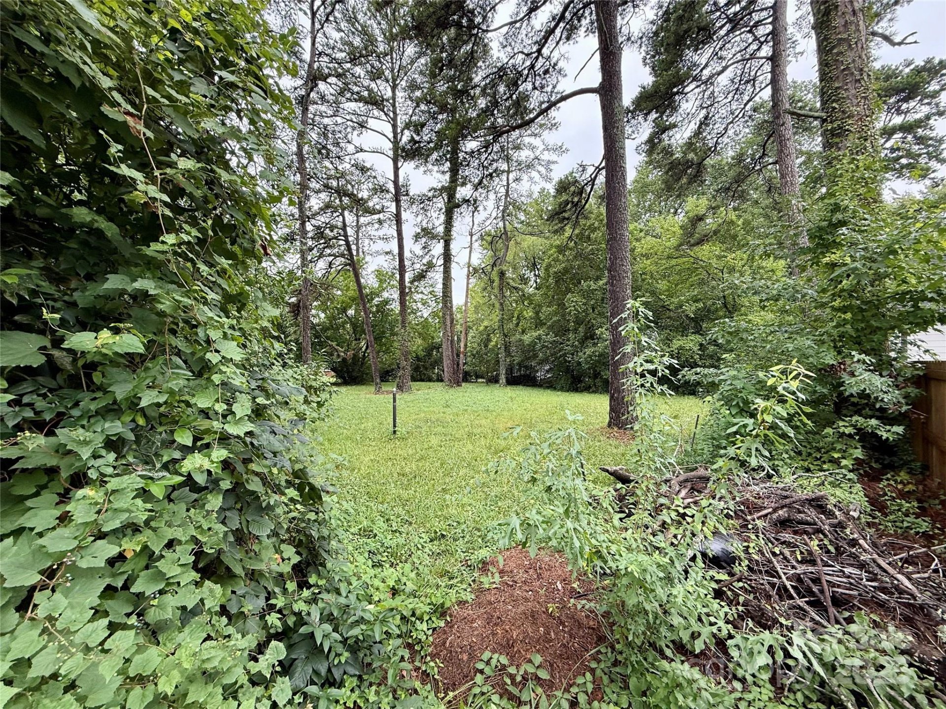 Property image 2 at 1904 St Paul Street, Charlotte, NC 28216