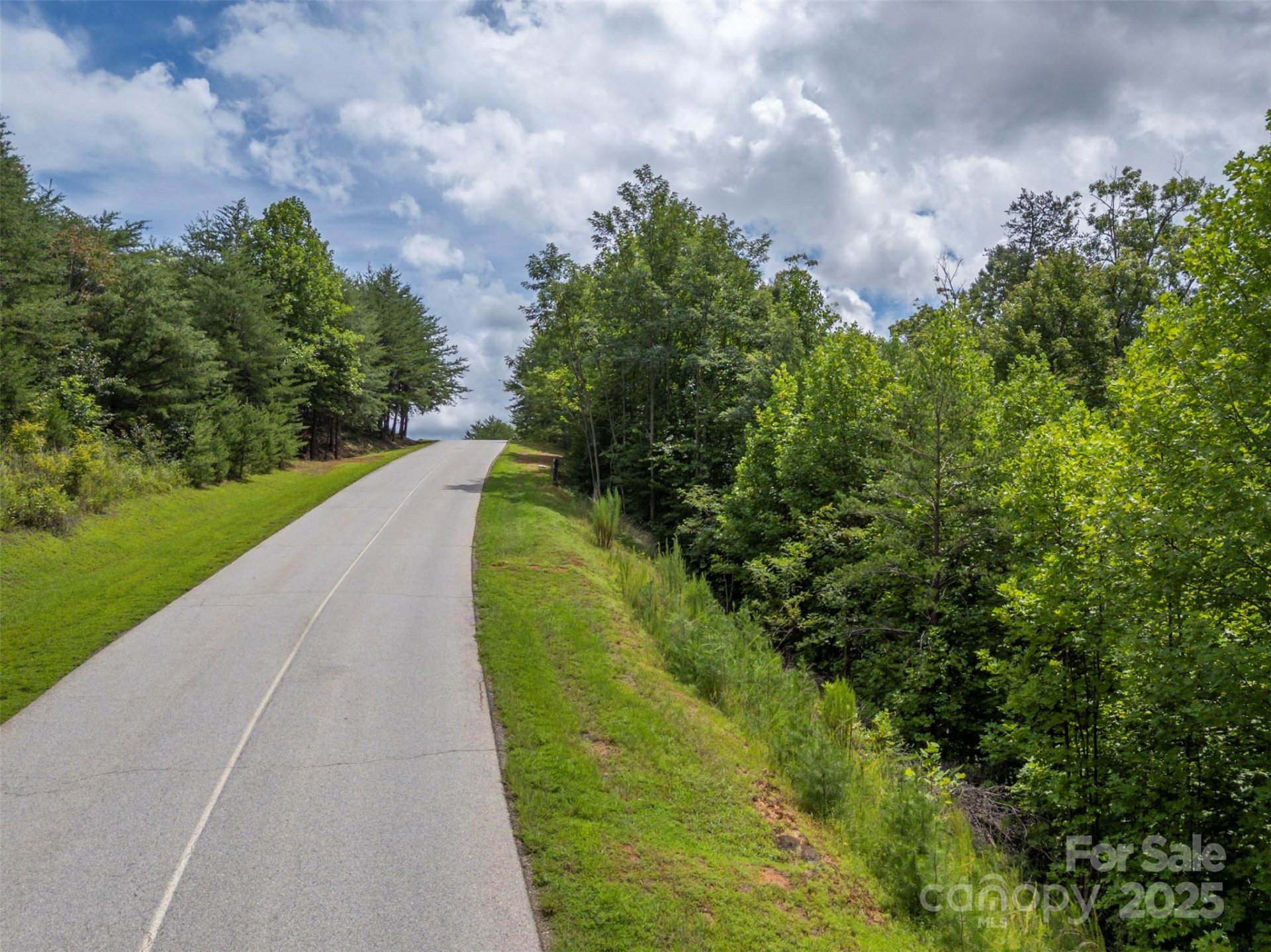 Property image 2 at 00 Deep Gap Road, Mill Spring, NC 28756