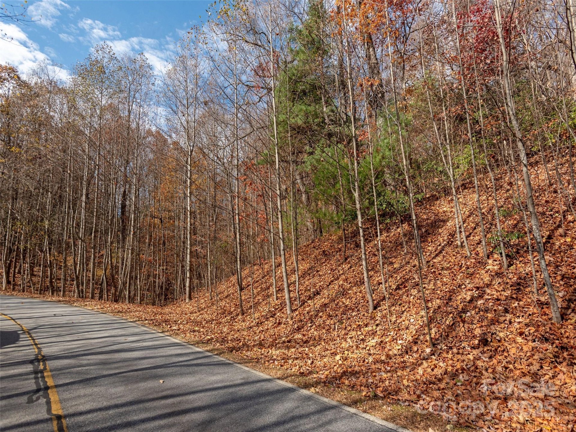 Property image 5 at 128 Pinnacle Peak Lane, Flat Rock, NC 28731