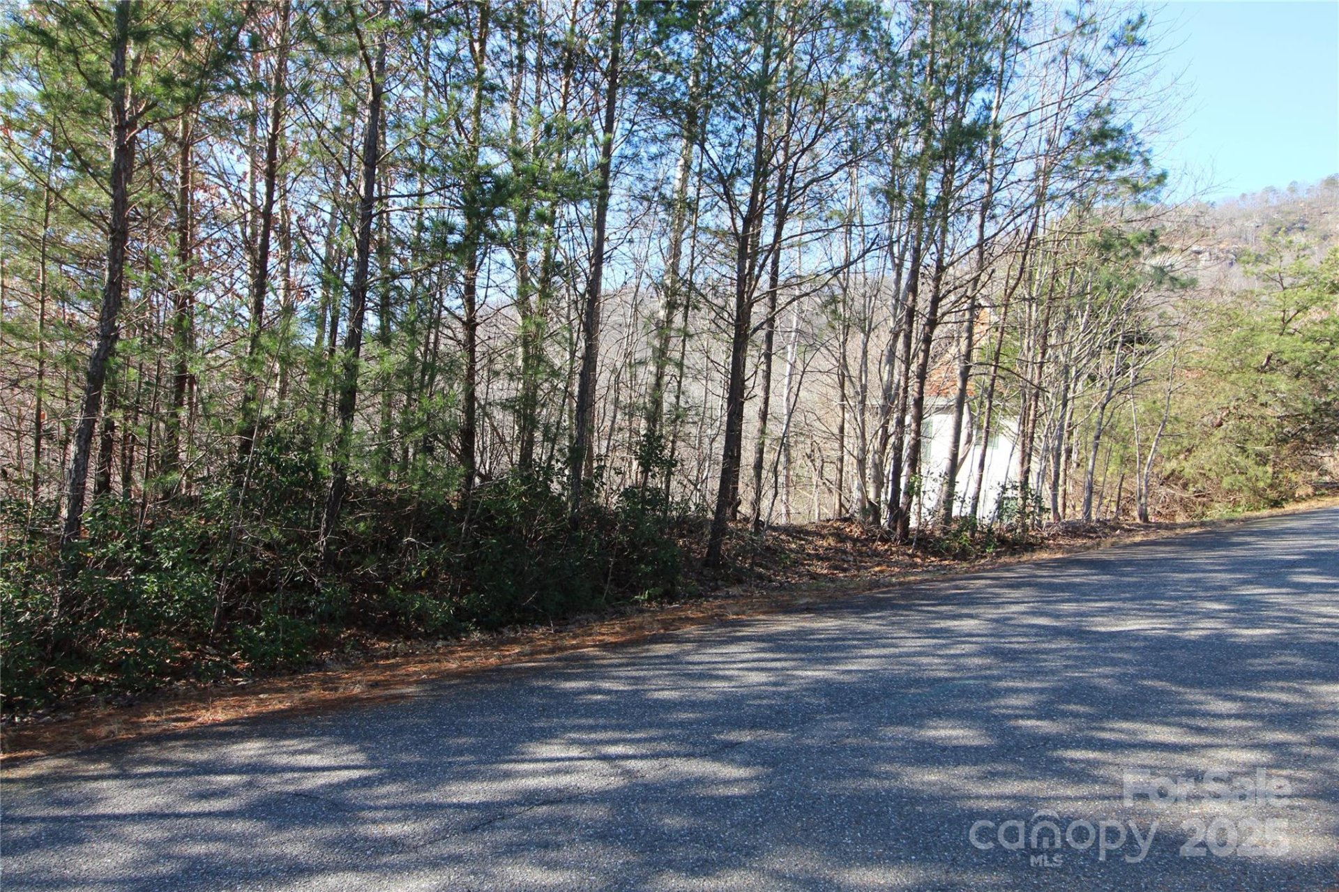 Property image 5 at 00 Highland Heights, Lake Lure, NC 28746