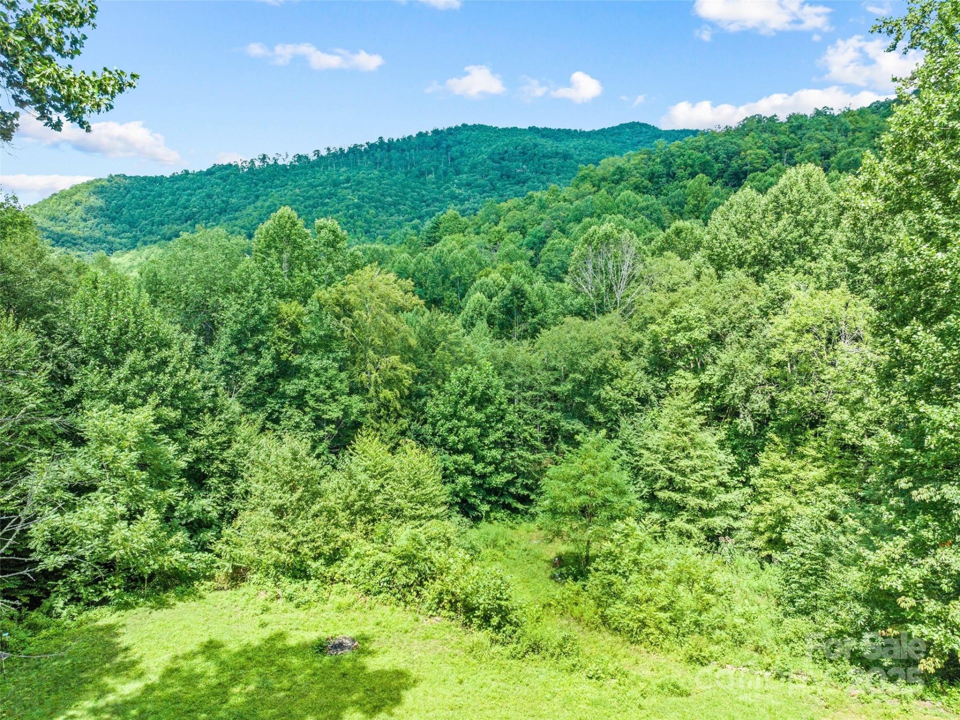 Property image 3 at 247 Three Springs Drive, Sylva, NC 28779