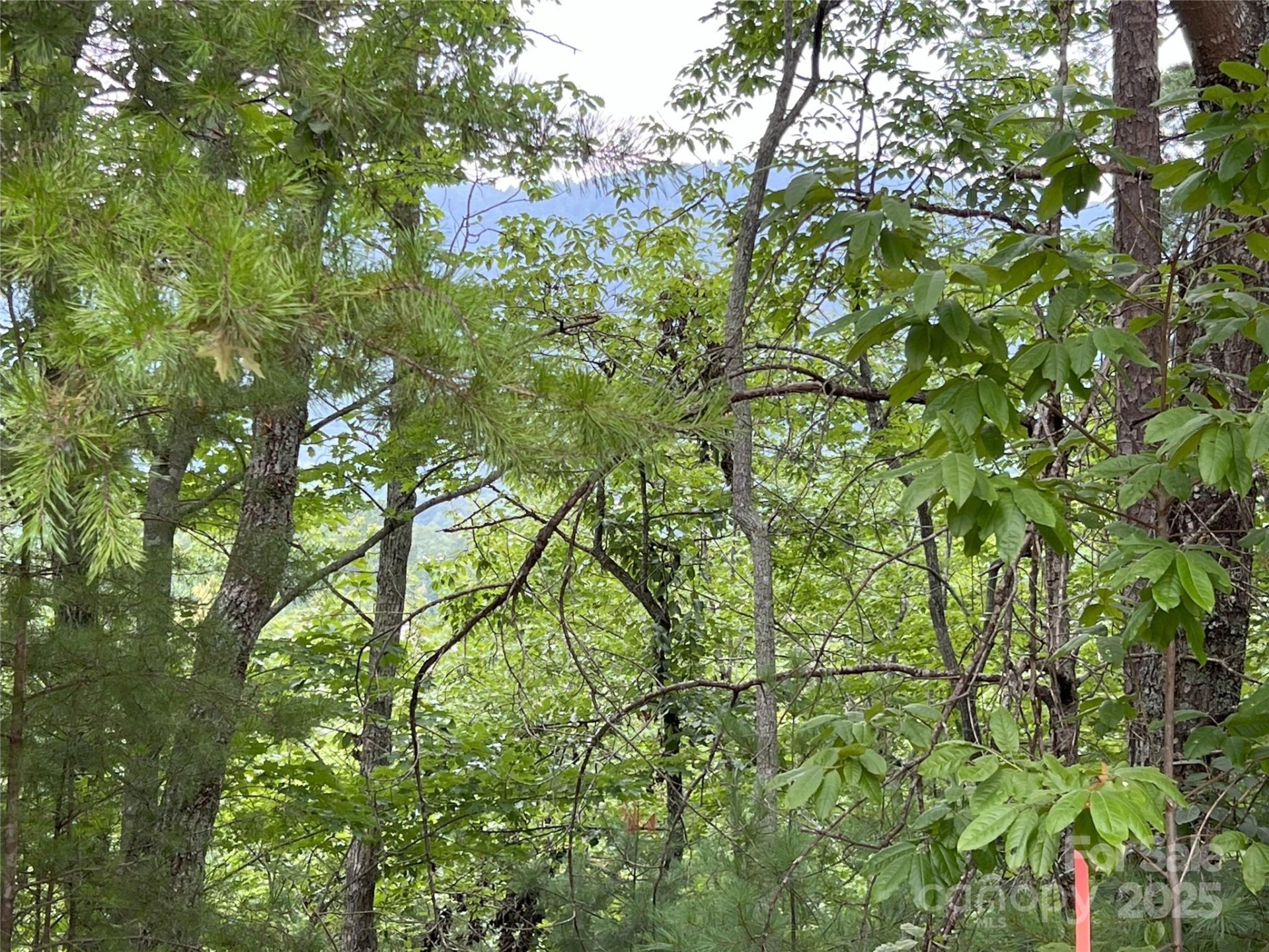 Property image 4 at 0 Stratford Drive, Mill Spring, NC 28756