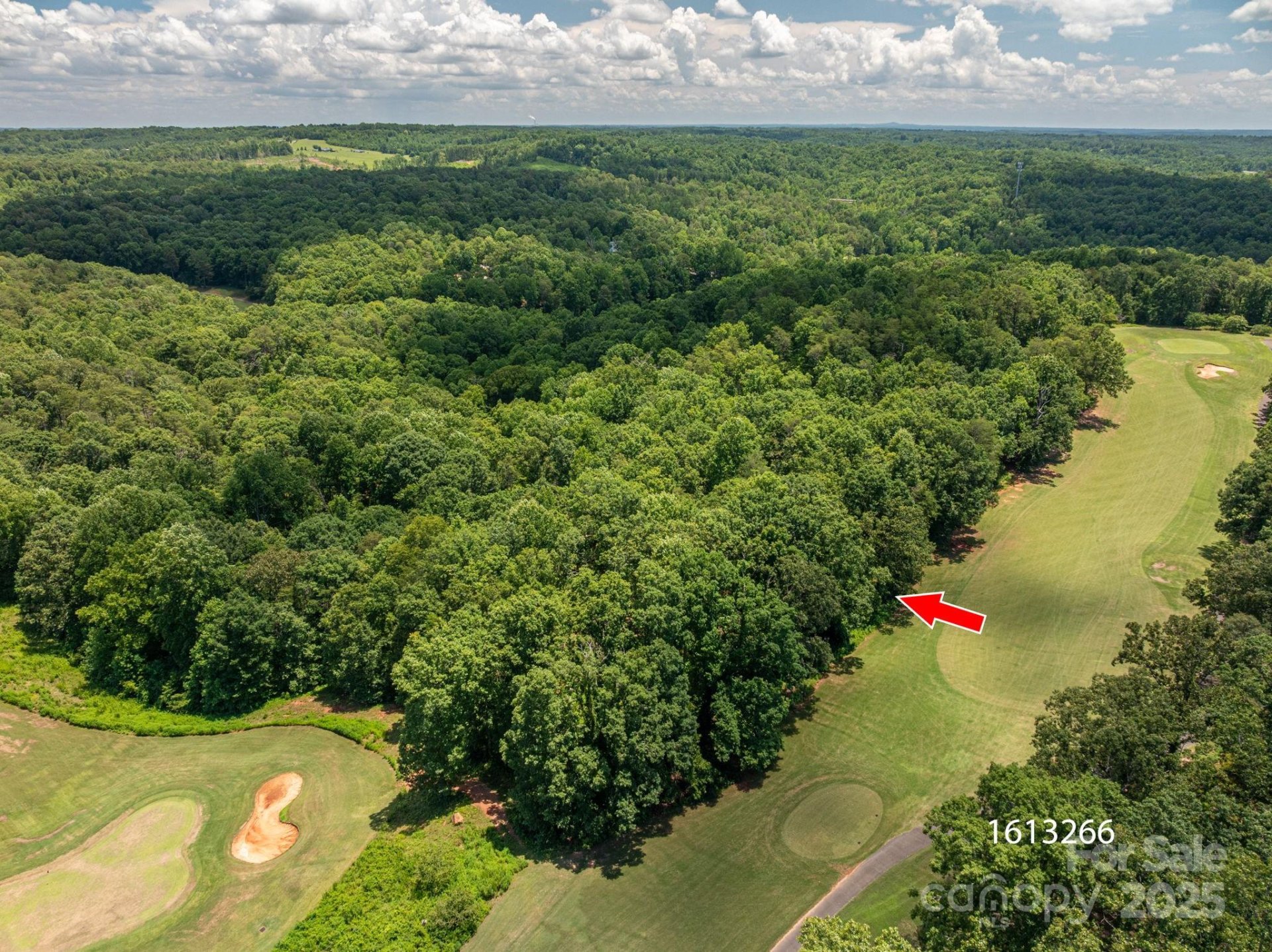 Property image 4 at Lot 218 Plantation Drive, Rutherfordton, NC 28139