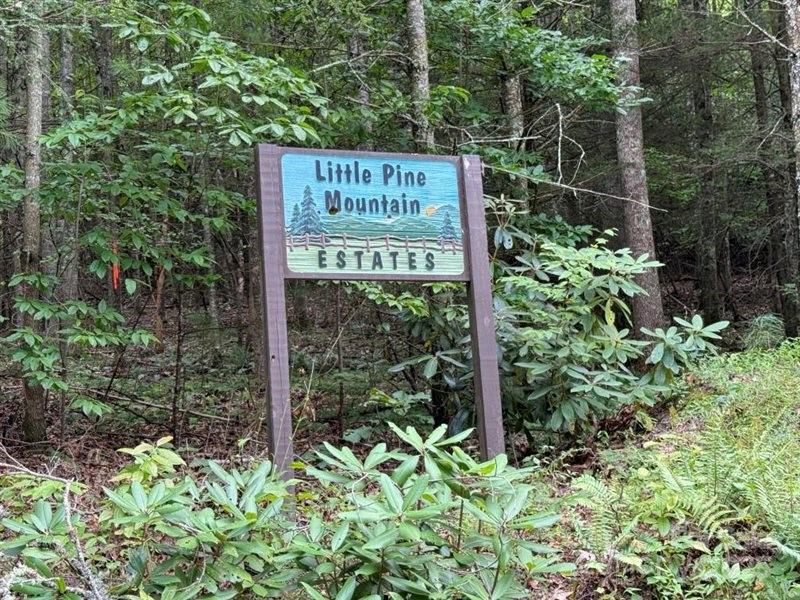 Property image 5 at Lot 9 Becks Branch Road, Clyde, NC 28721