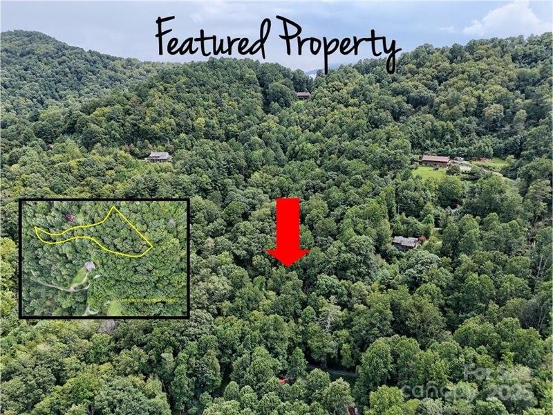 Property image 2 at 00 Rules Run Road, Clyde, NC 28721