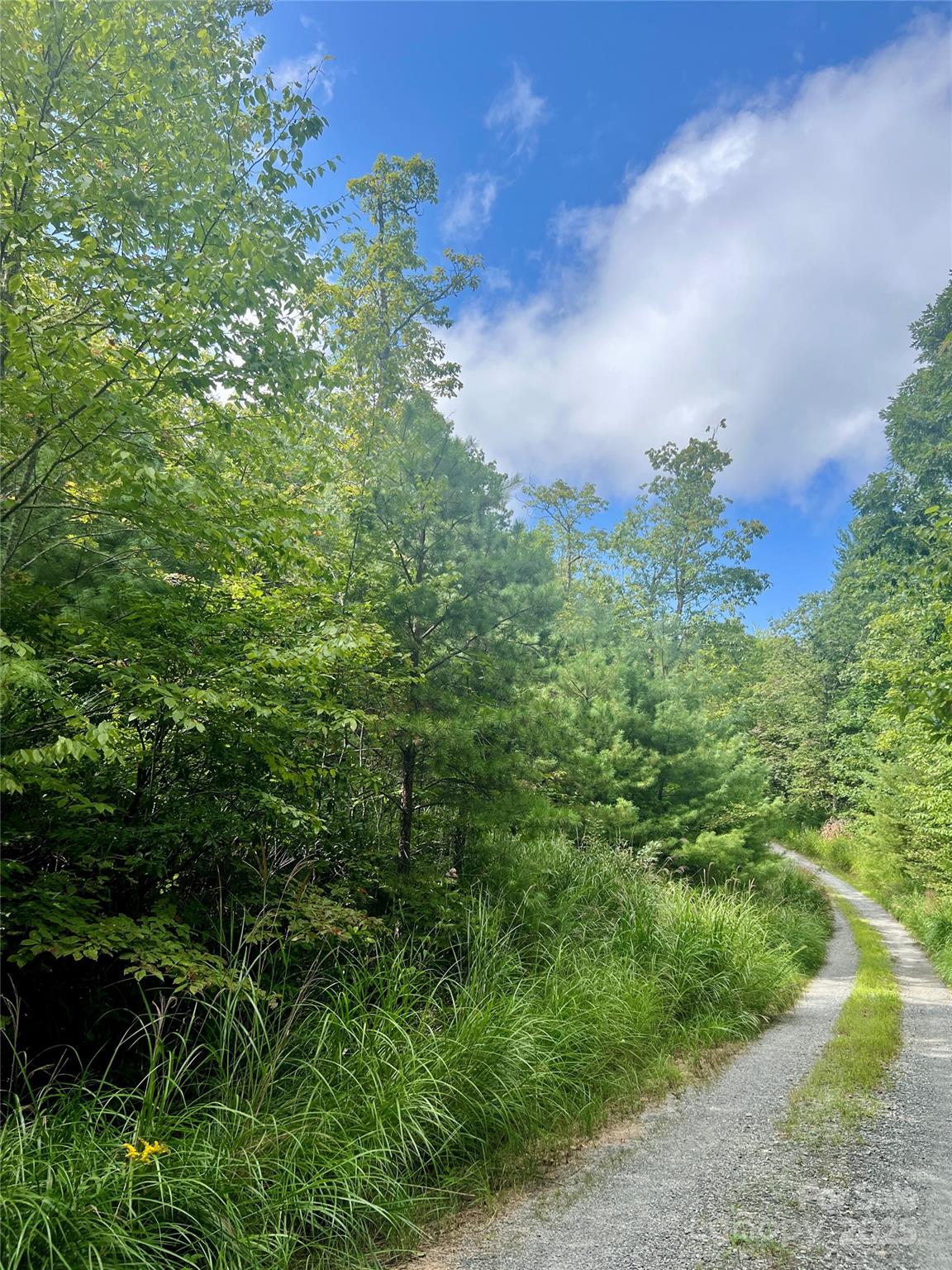 Property at F2 Emma Bri Lane, Hendersonville, NC 28739