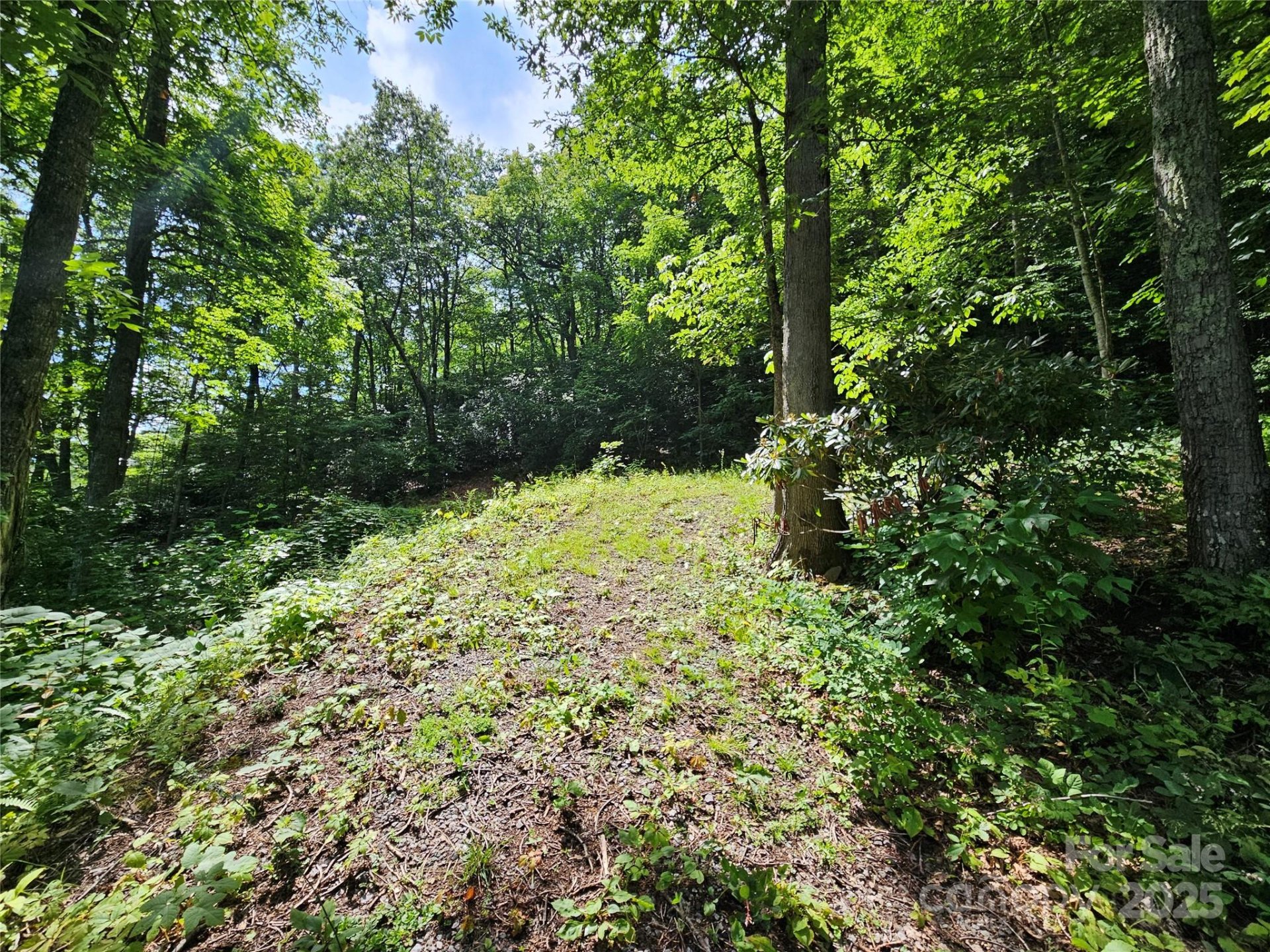 Property image 2 at 000 Big Boulder Ridge, Maggie Valley, NC 28751