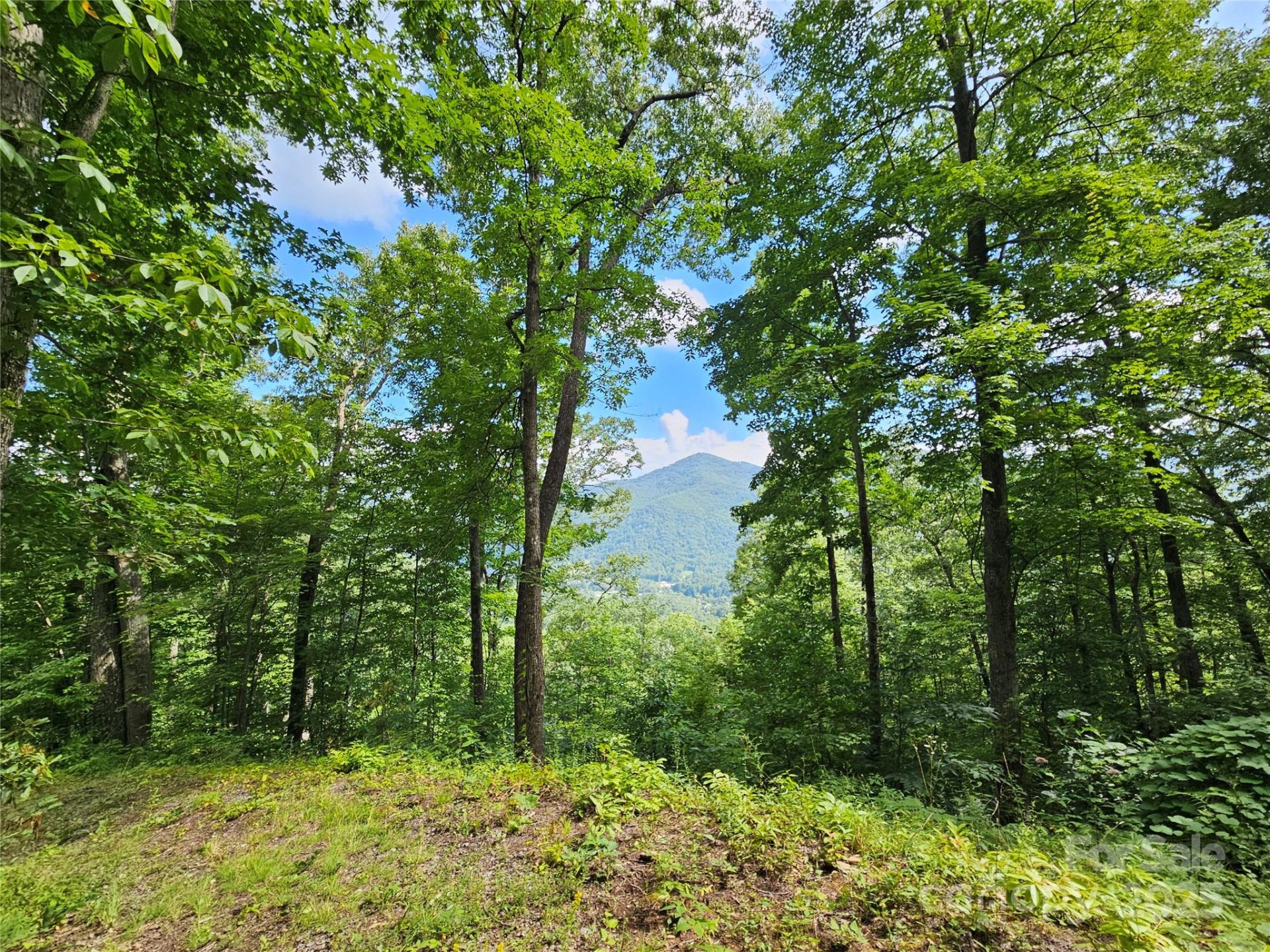 Property image 3 at 000 Big Boulder Ridge, Maggie Valley, NC 28751